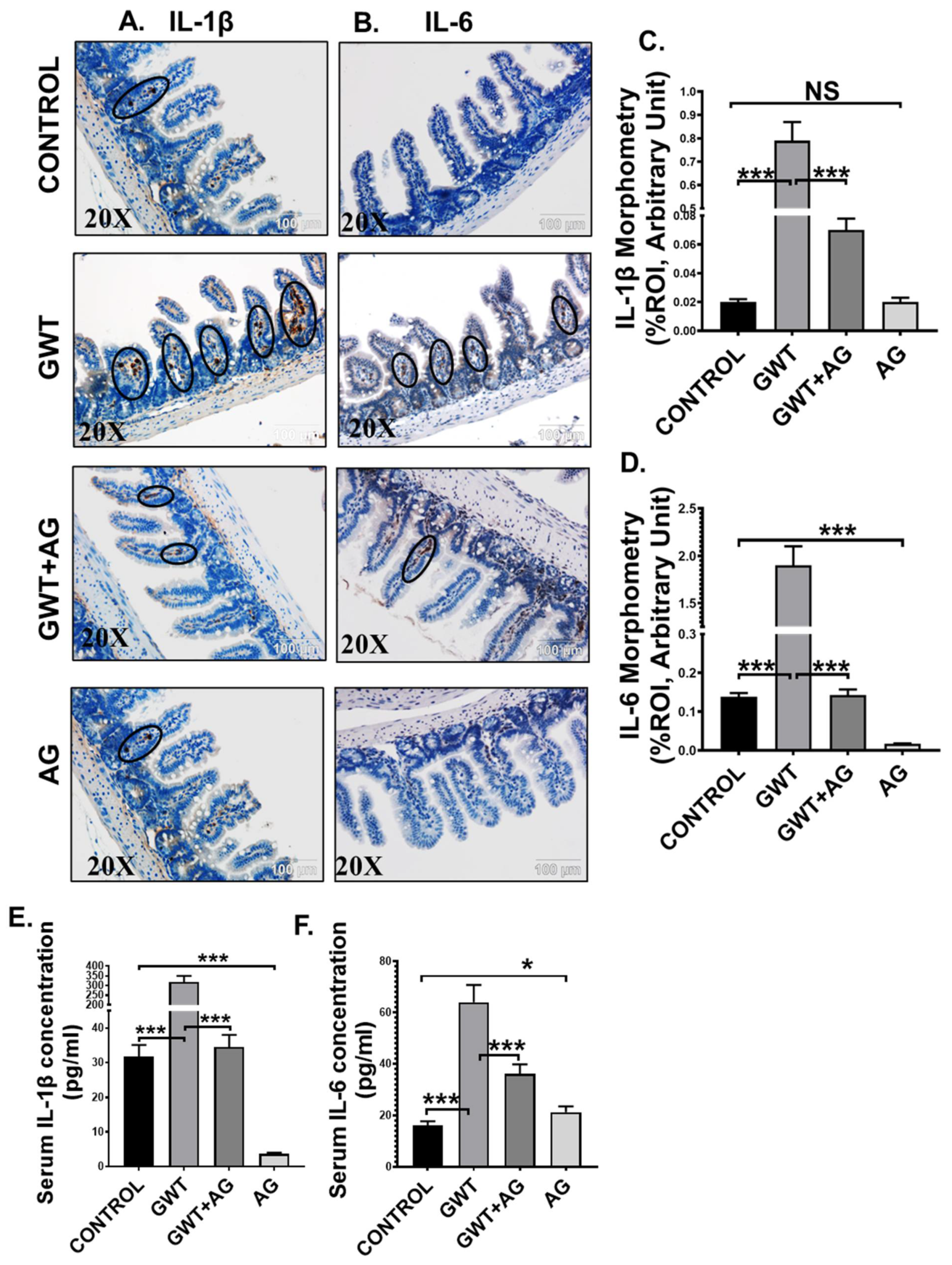 Brainsci 11 00905 g005 Brainsci 11 00905 g005