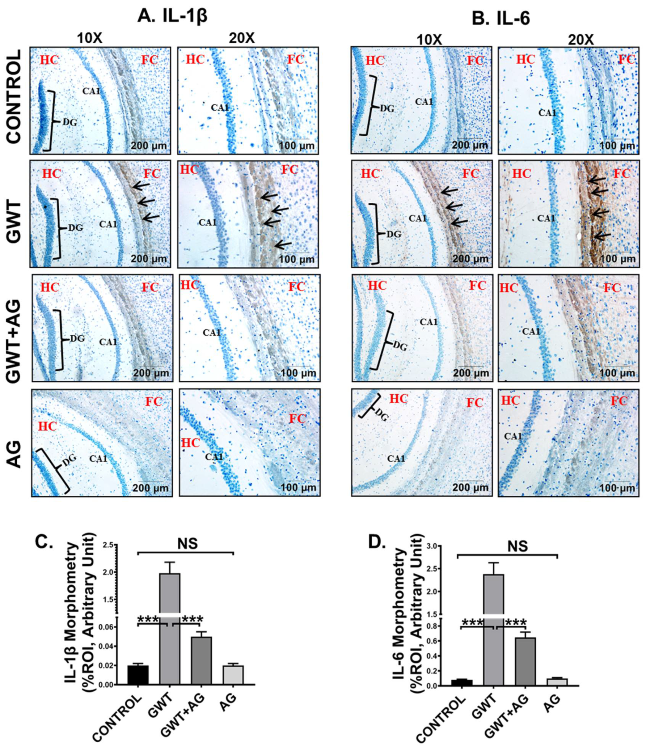 Brainsci 11 00905 g008 Brainsci 11 00905 g008
