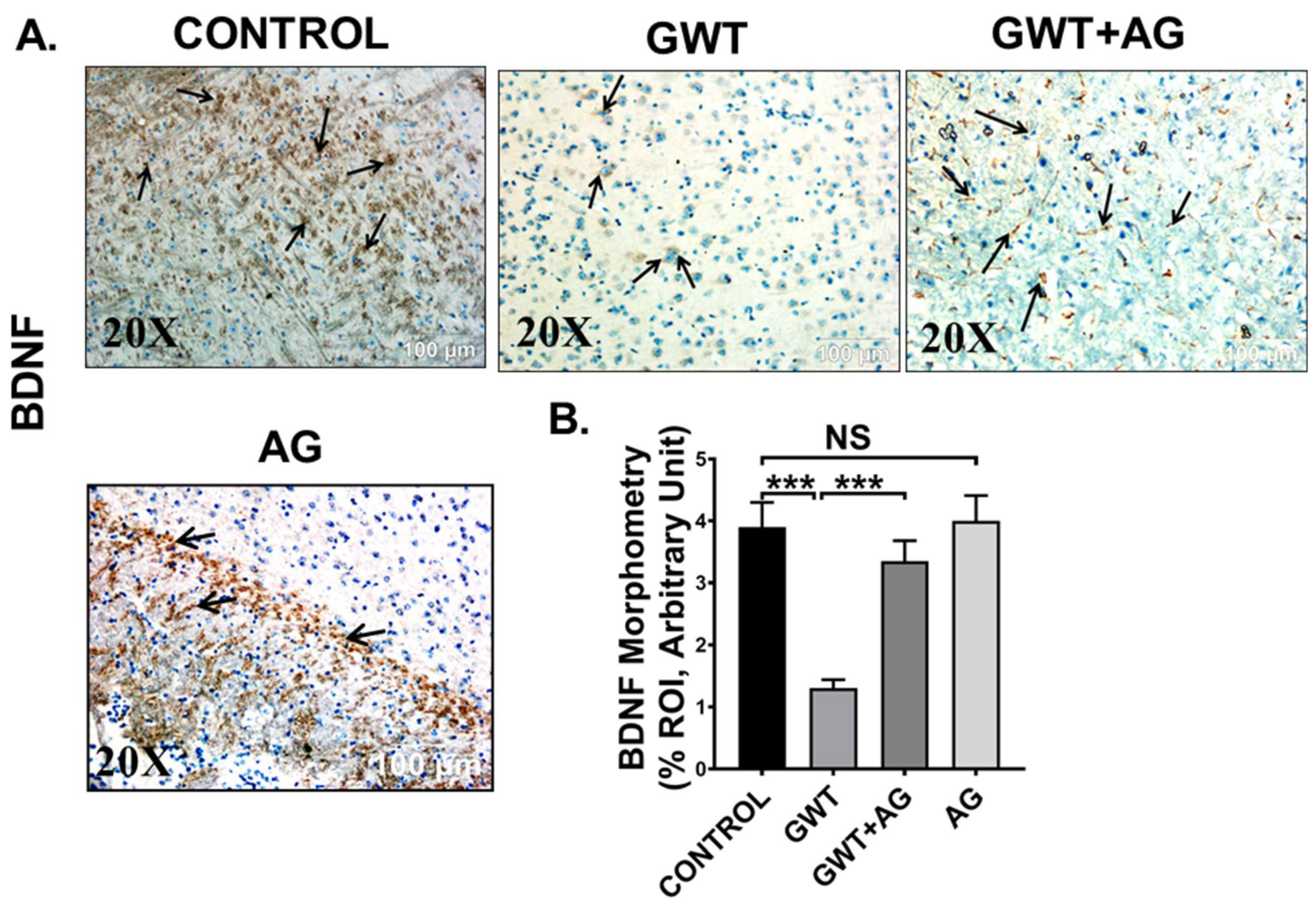 Brainsci 11 00905 g009 Brainsci 11 00905 g009