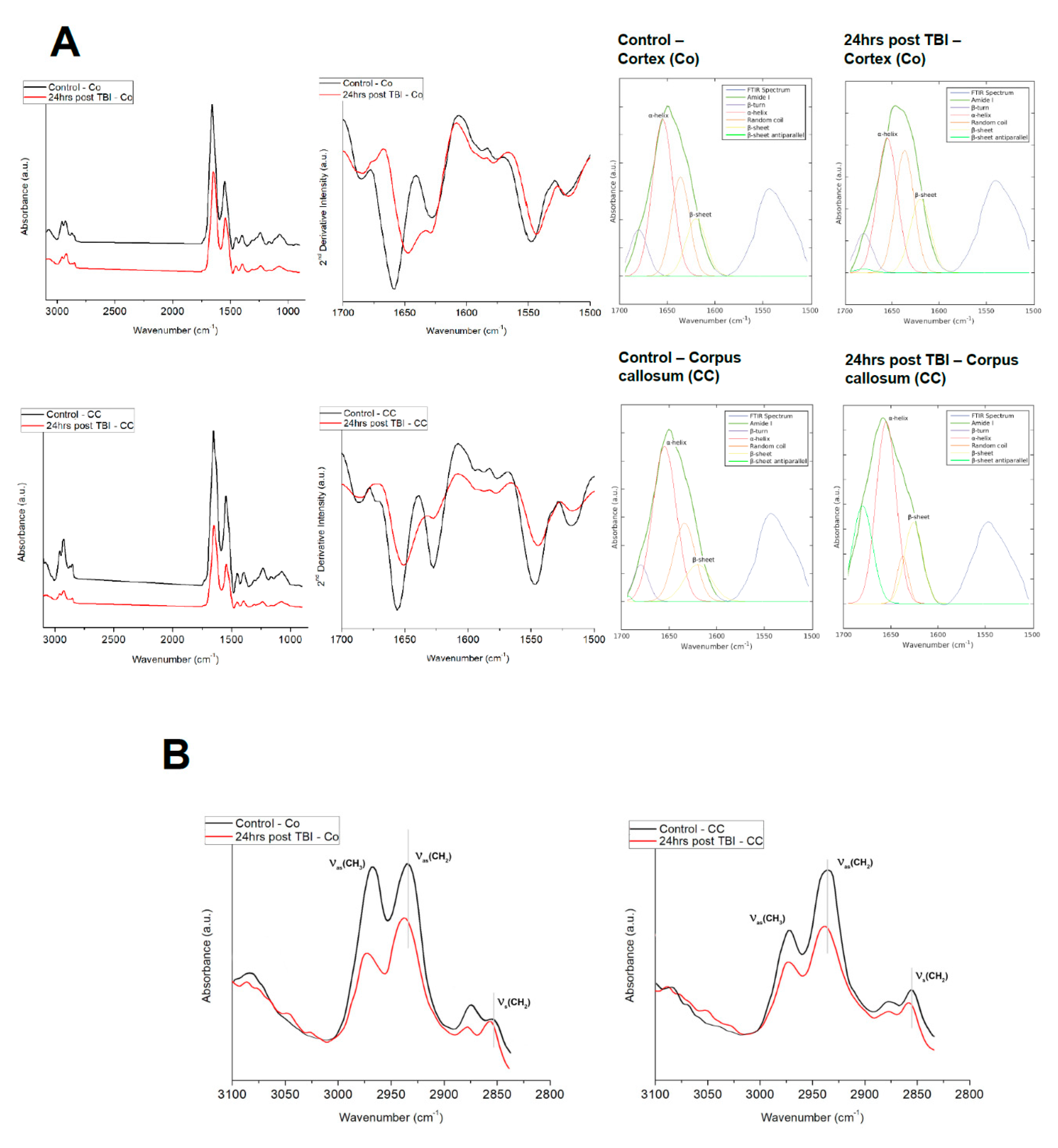 Brainsci 11 00918 g004
