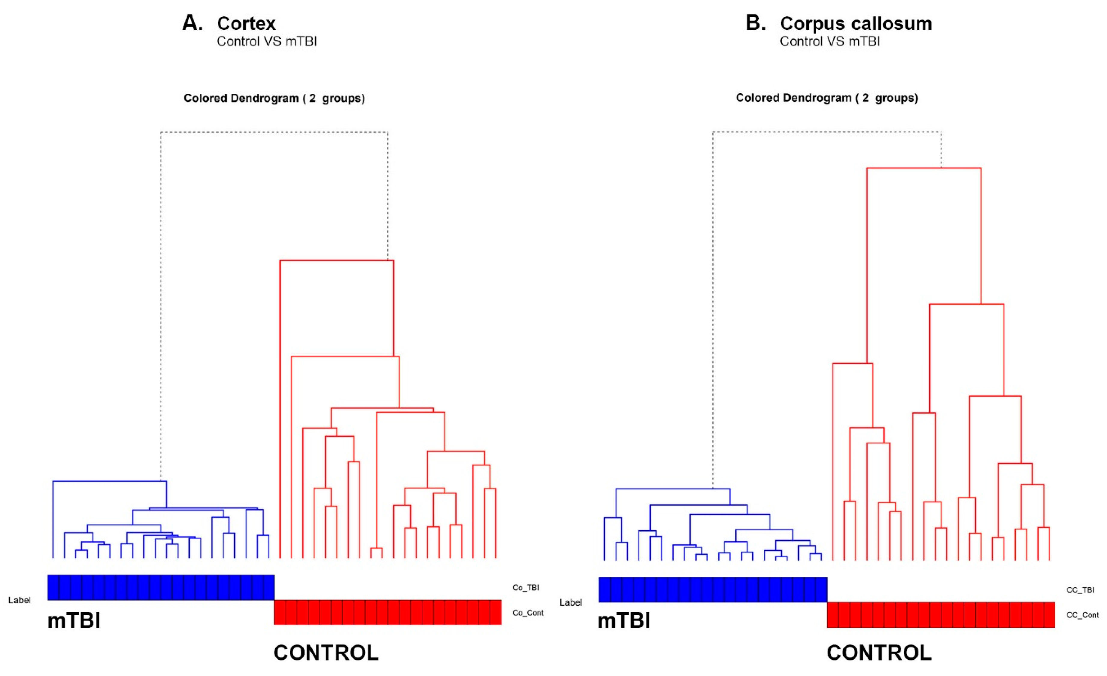 Brainsci 11 00918 g006