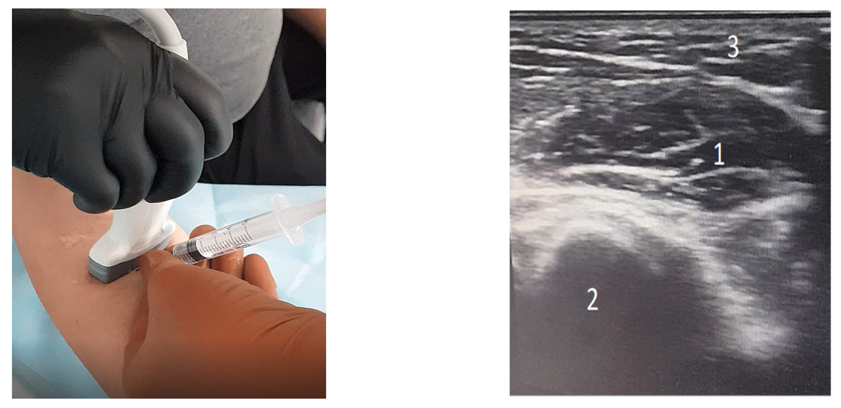 Brainsci 11 00934 g001 Brainsci 11 00934 g001