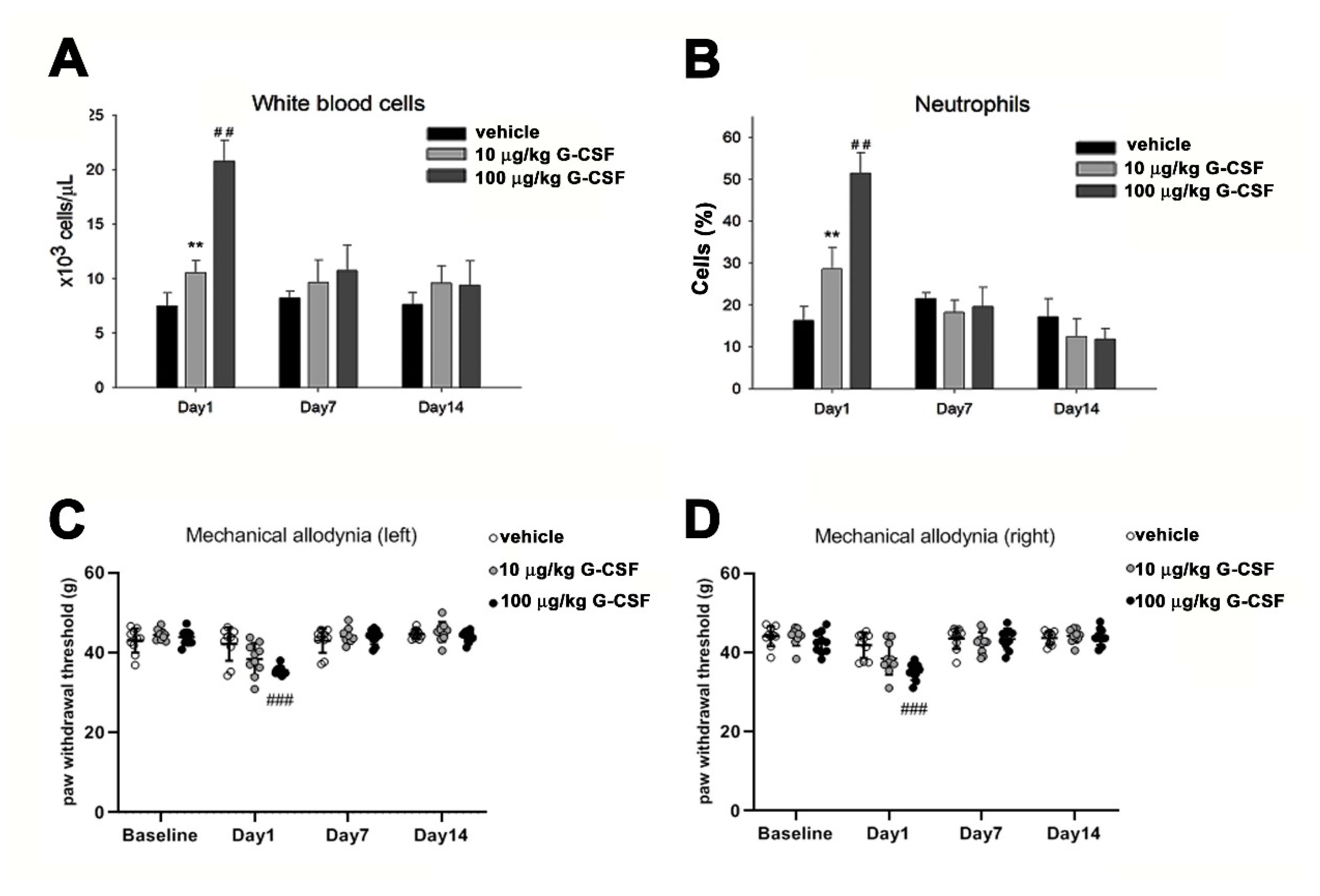 Brainsci 11 00956 g004 Brainsci 11 00956 g004