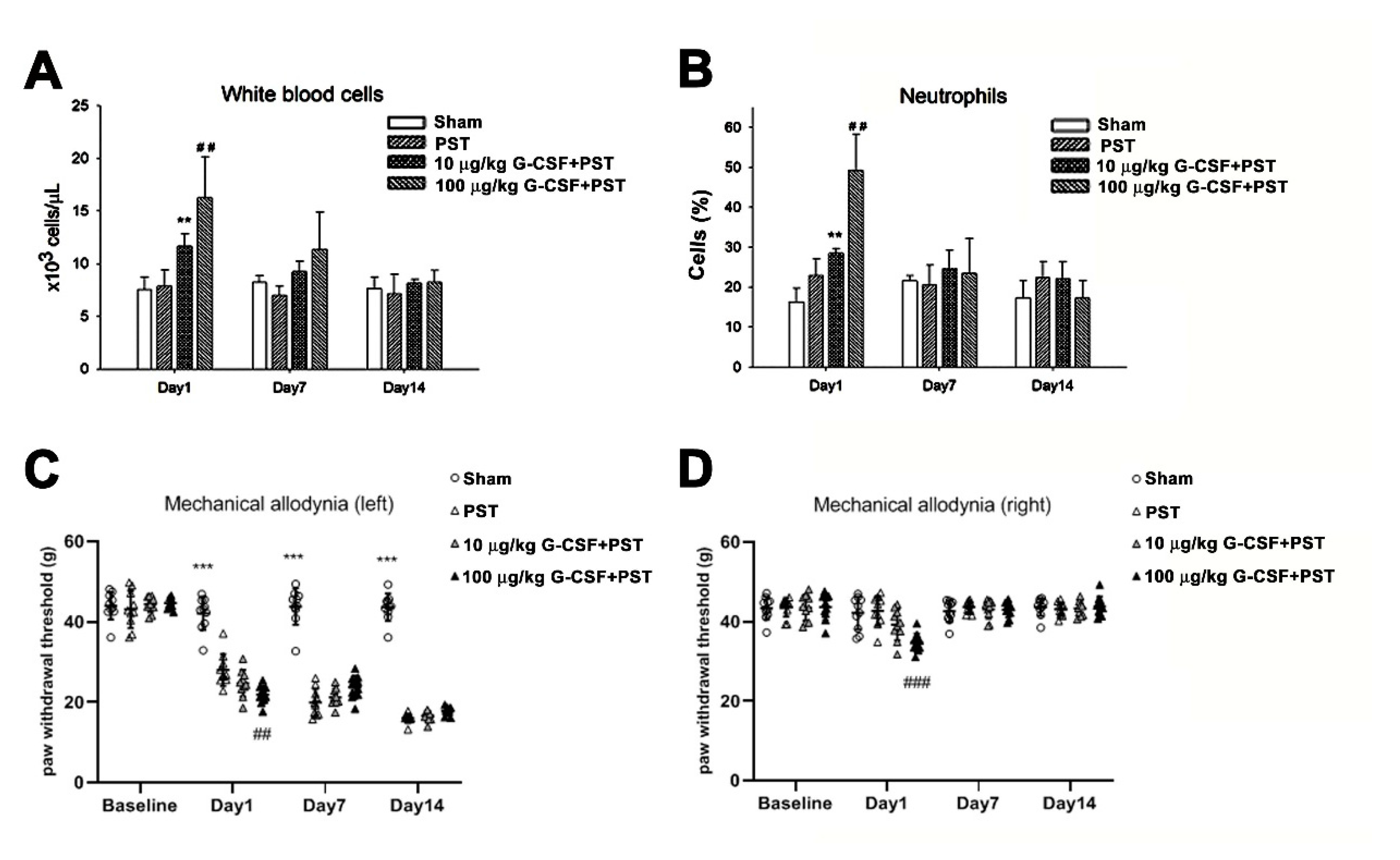 Brainsci 11 00956 g005 Brainsci 11 00956 g005