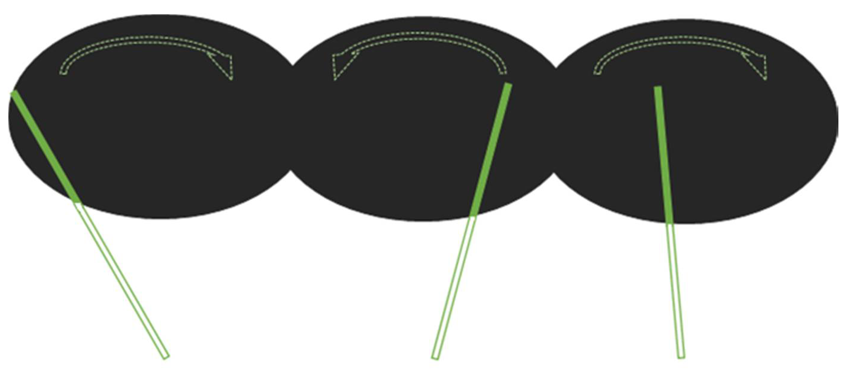 Brainsci 11 00963 g002