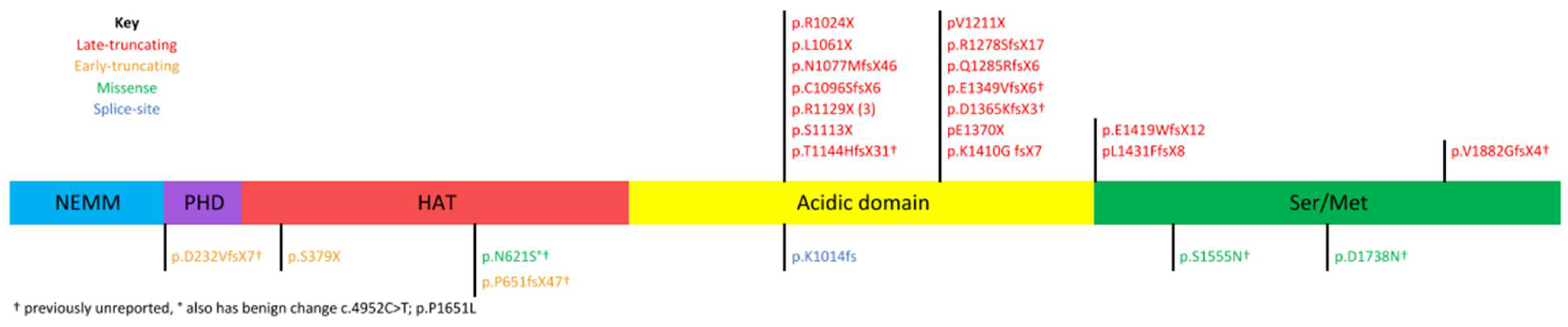 Brainsci 11 00966 g001 550