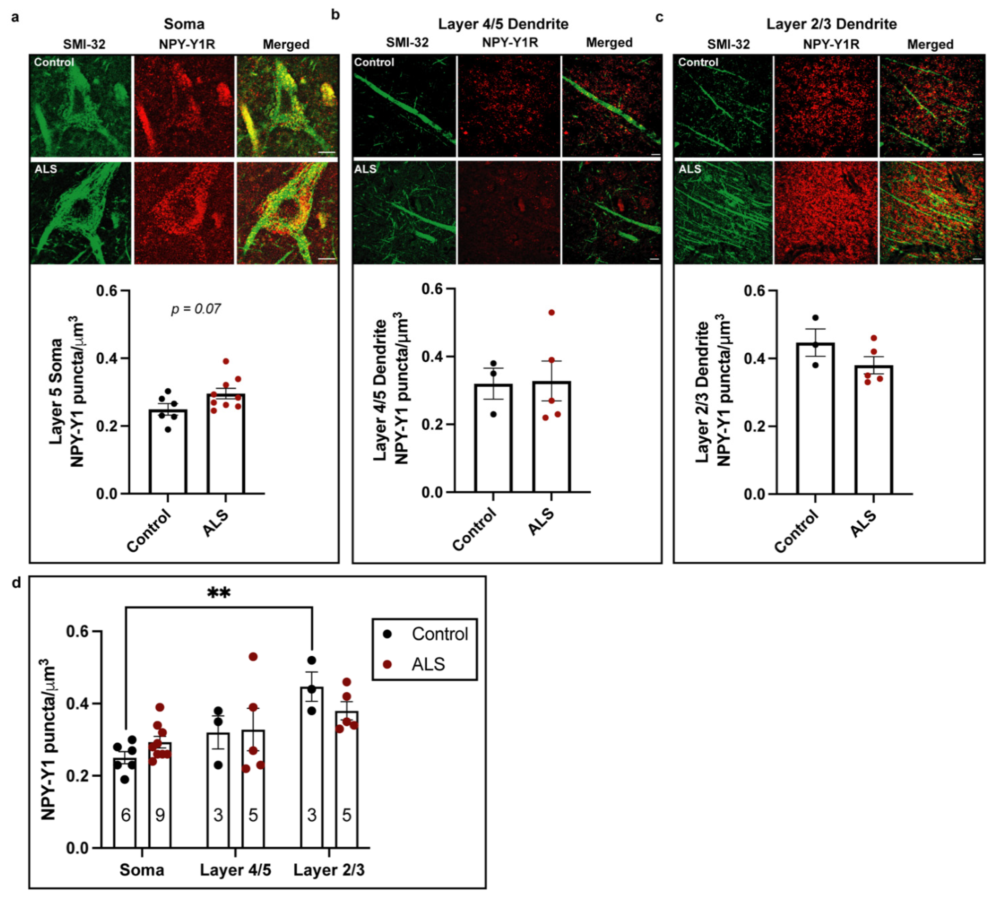 Brainsci 11 00969 g002