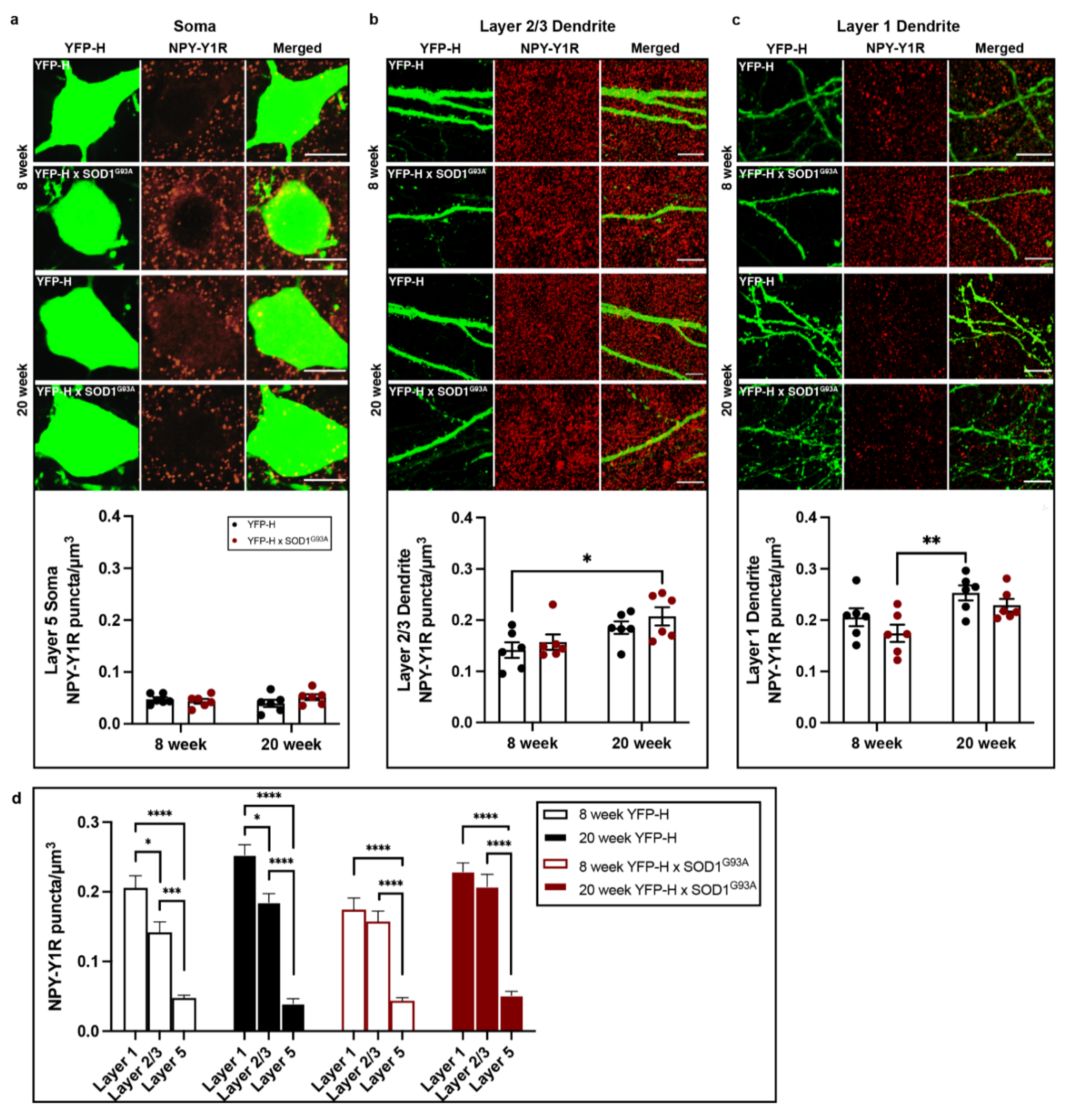 Brainsci 11 00969 g005
