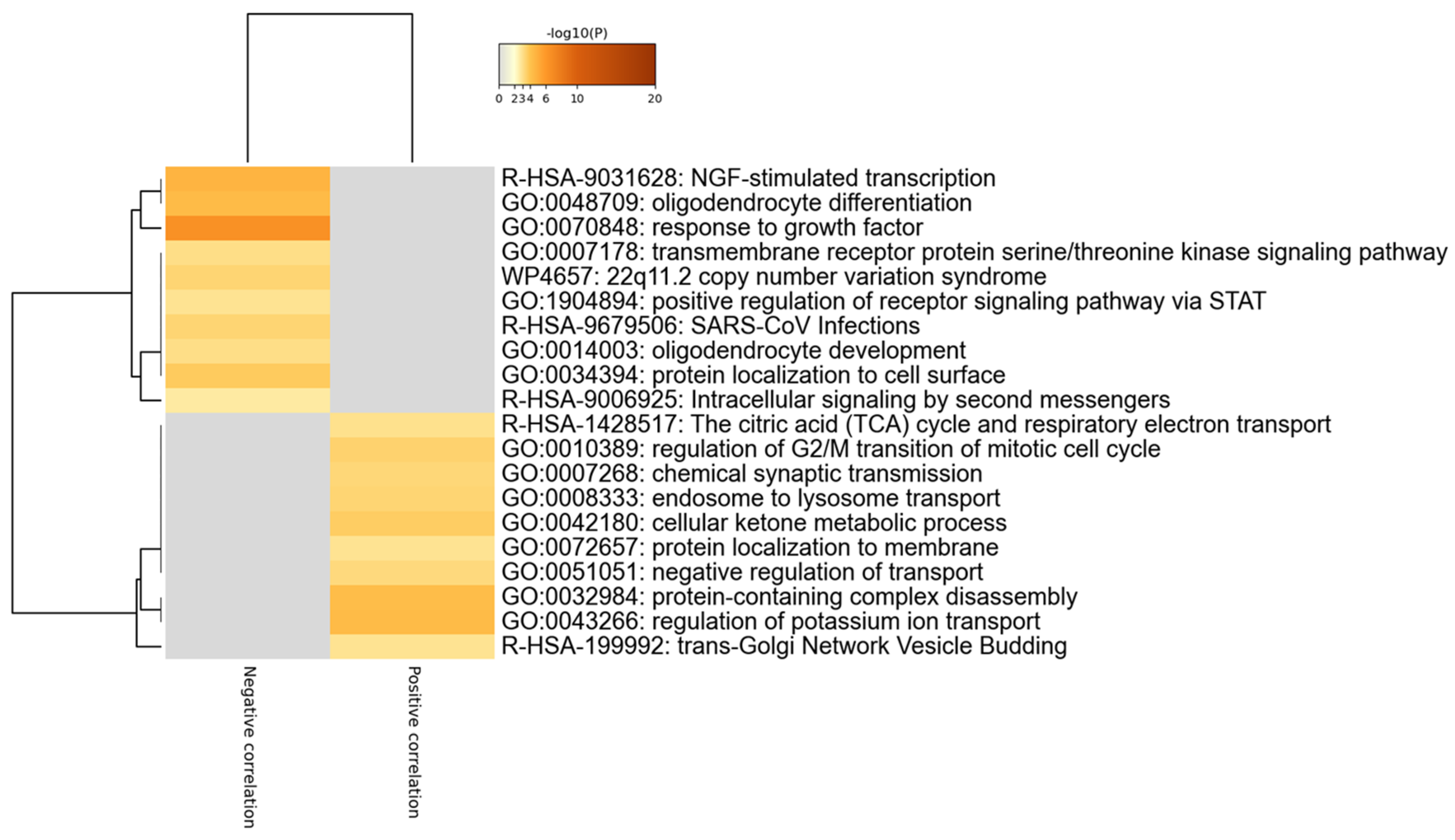 Brainsci 11 00973 g004