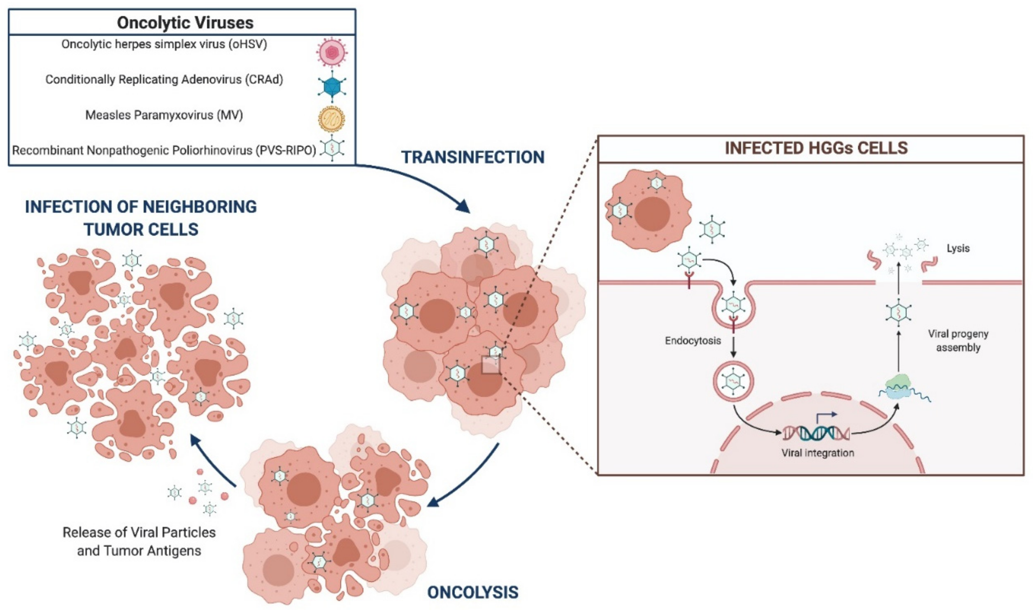 Brainsci 11 00976 g002 Brainsci 11 00976 g002