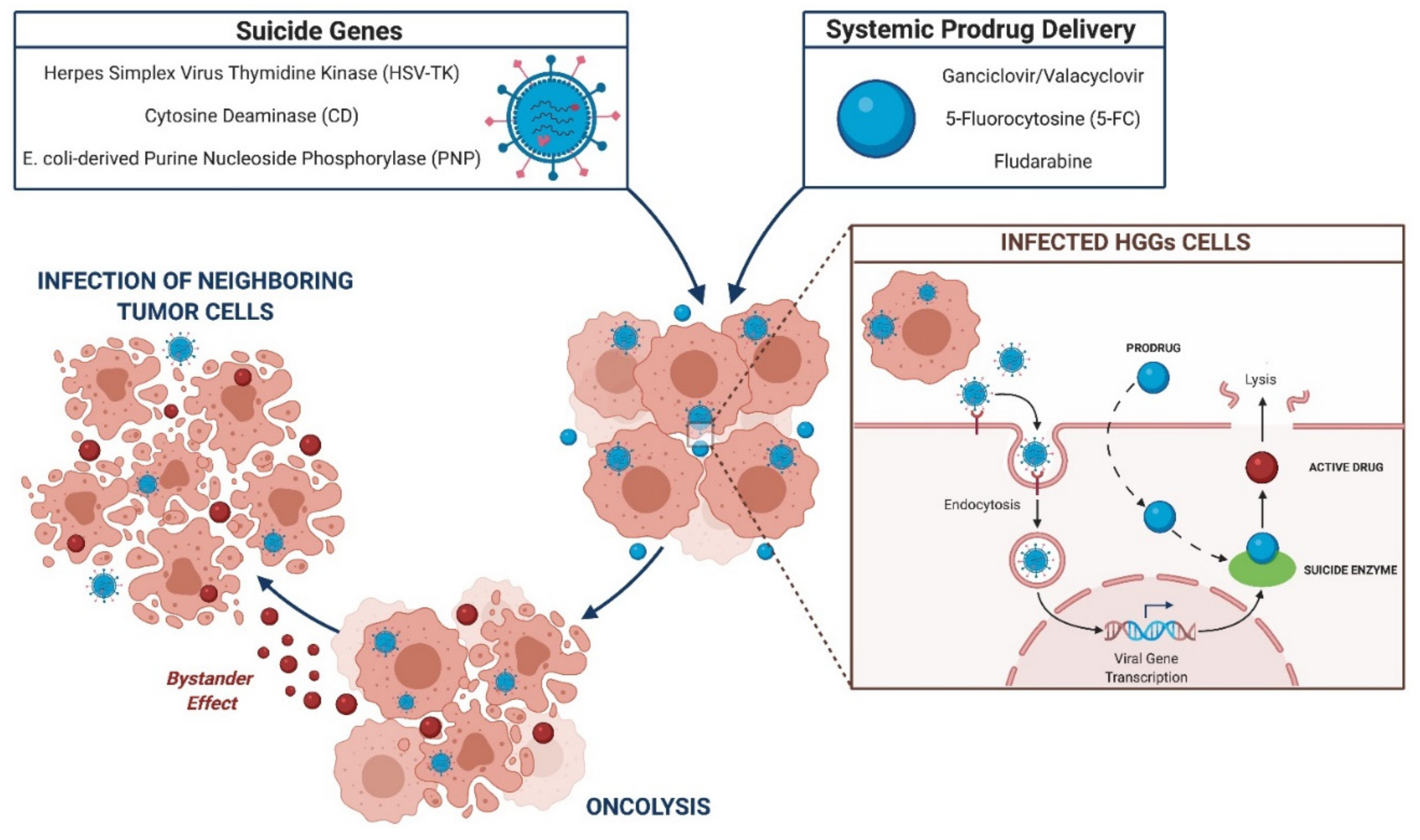Brainsci 11 00976 g003 Brainsci 11 00976 g003