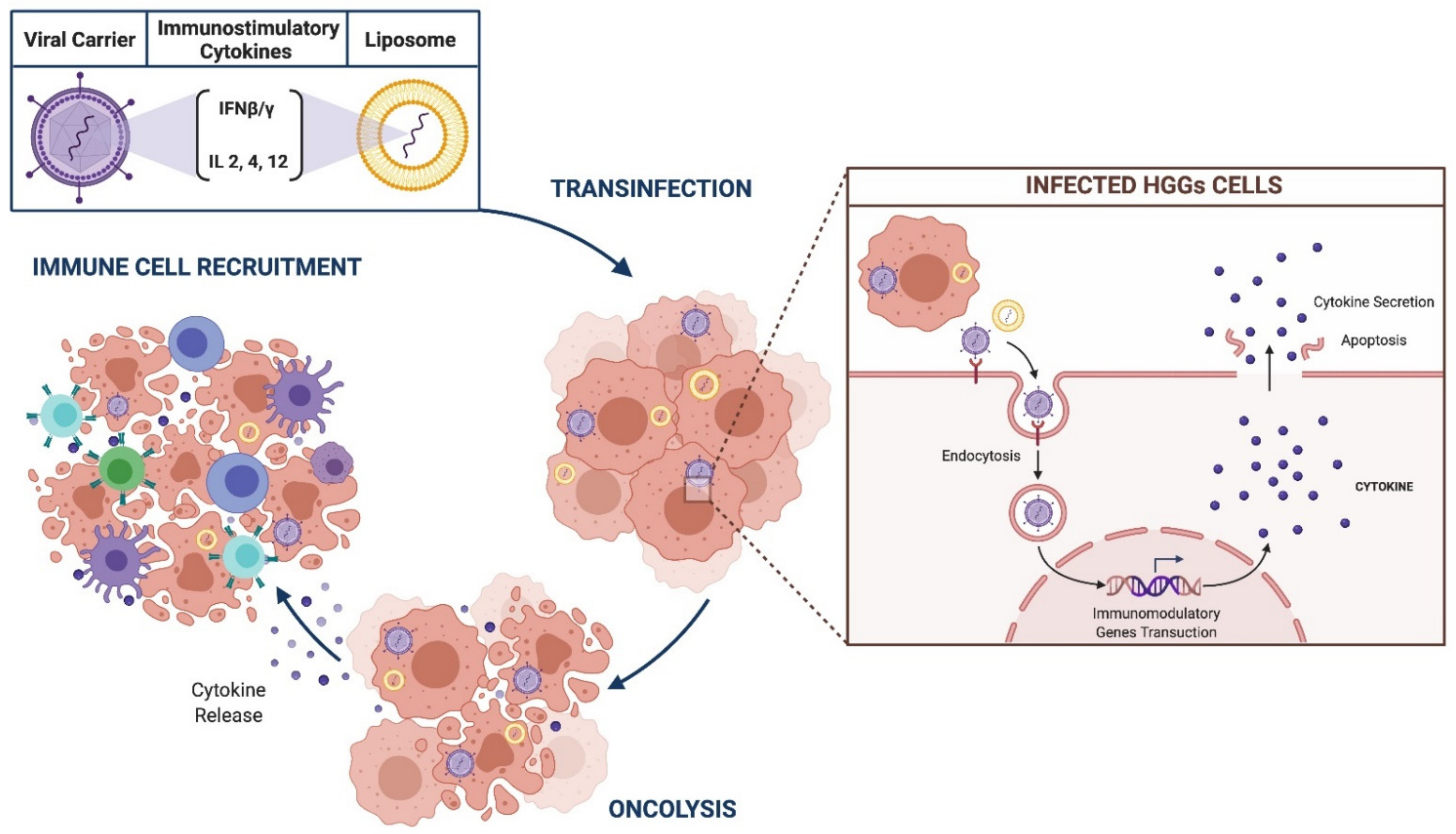 Brainsci 11 00976 g005 Brainsci 11 00976 g005