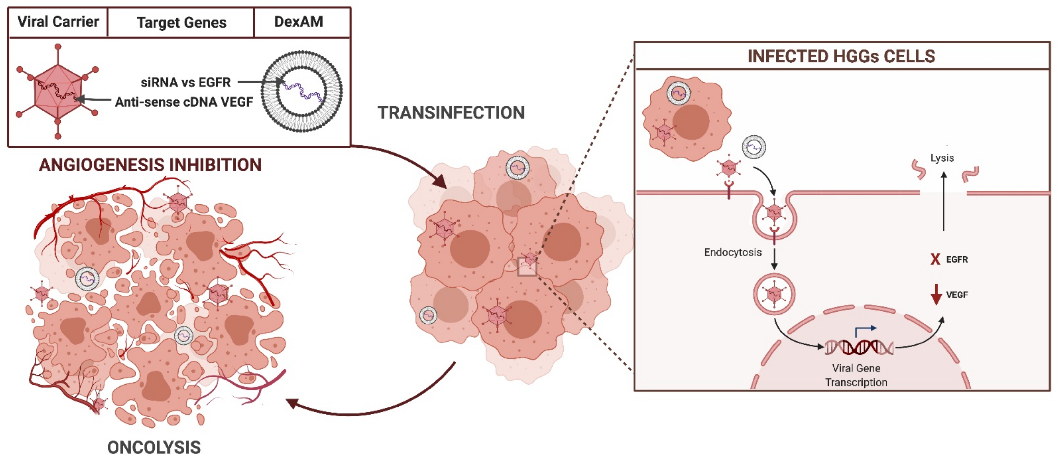 Brainsci 11 00976 g006 Brainsci 11 00976 g006