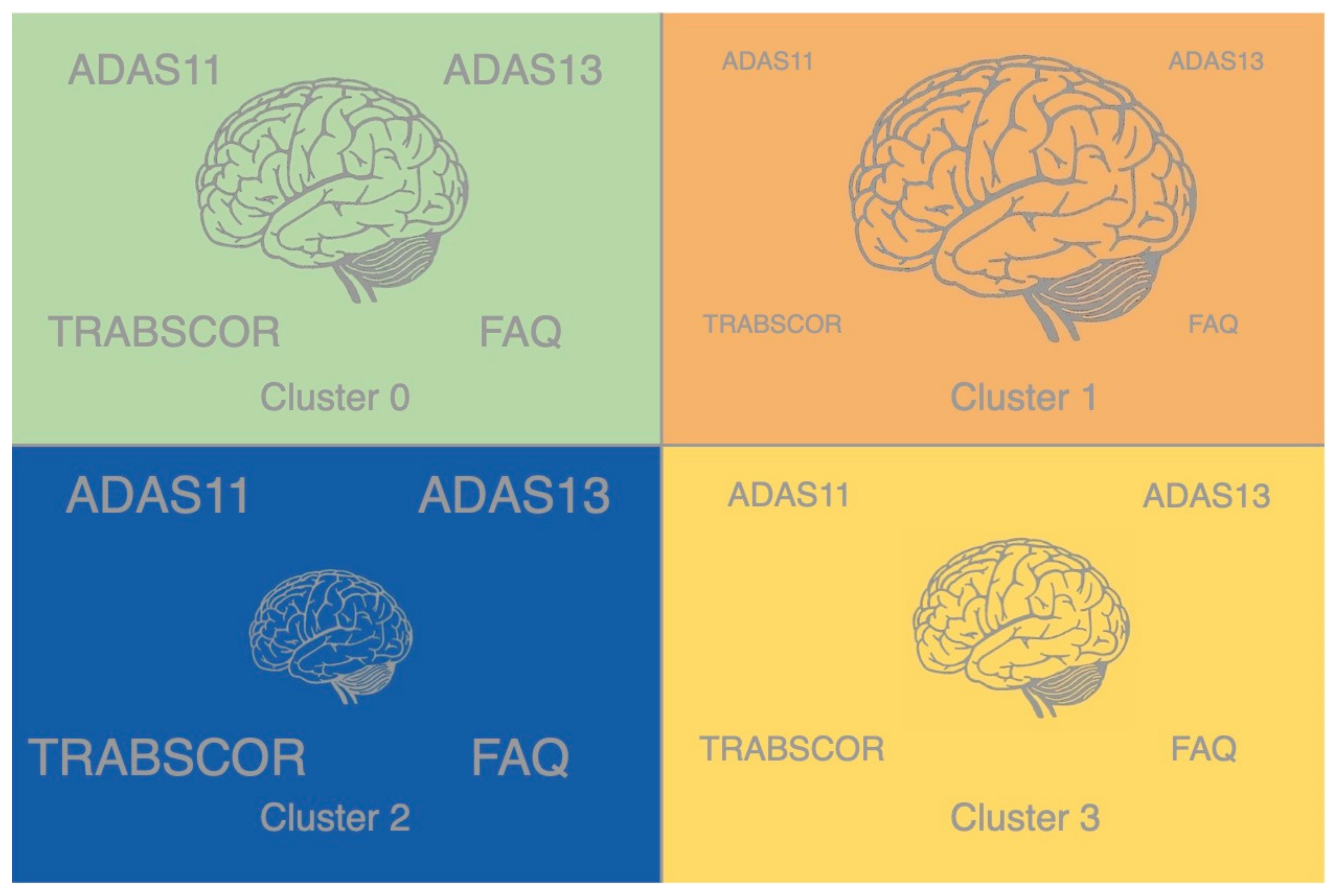 Brainsci 11 00977 g003
