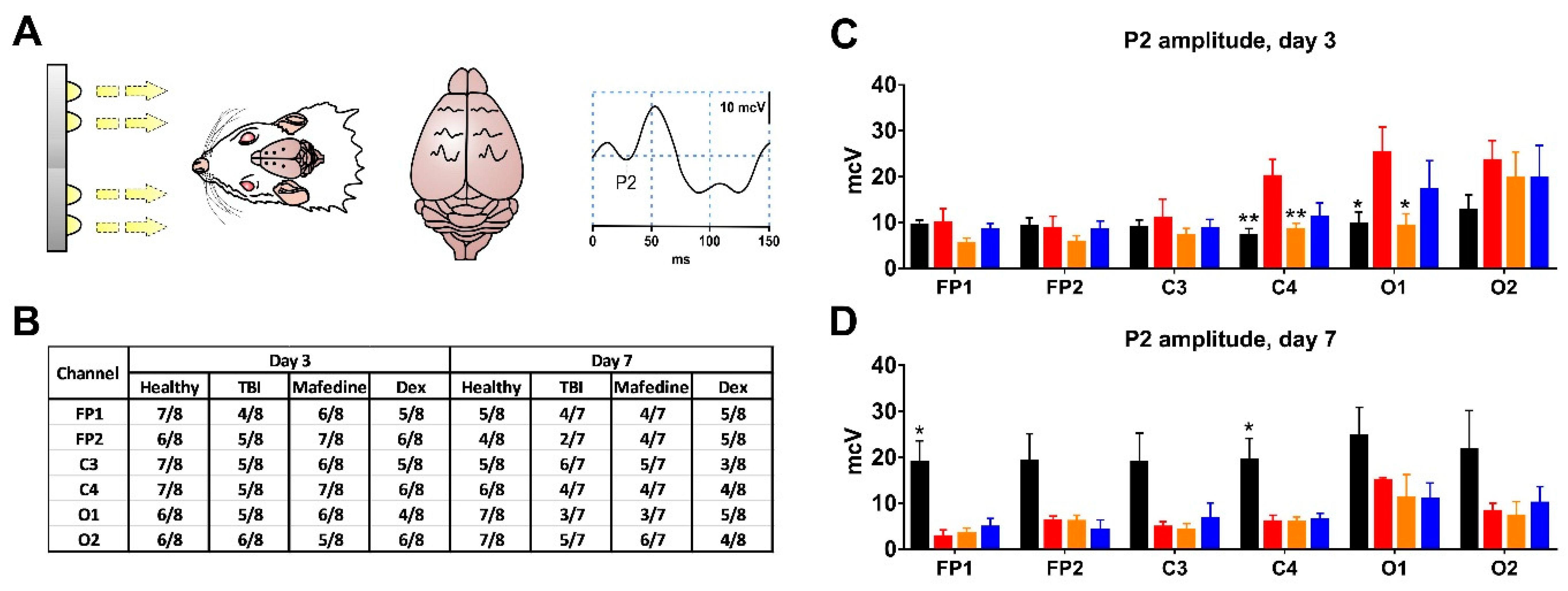 Brainsci 11 00981 g005 550