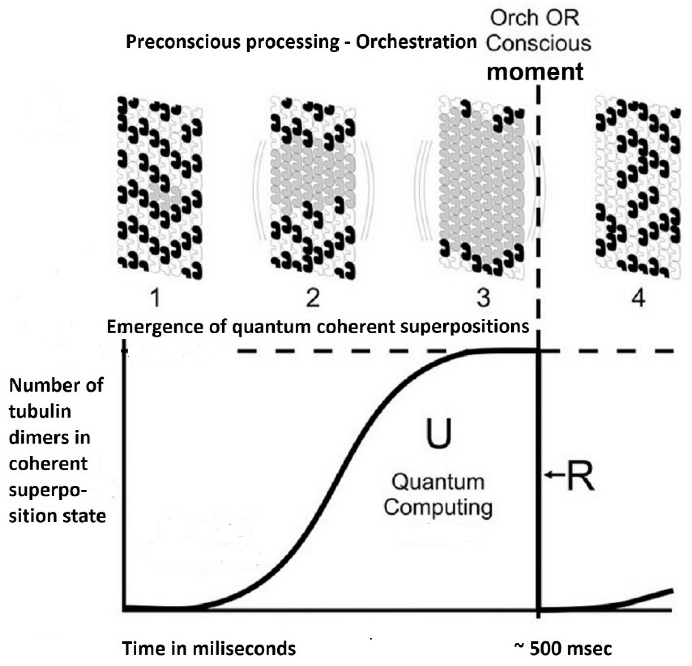 Brainsci 11 00984 g005