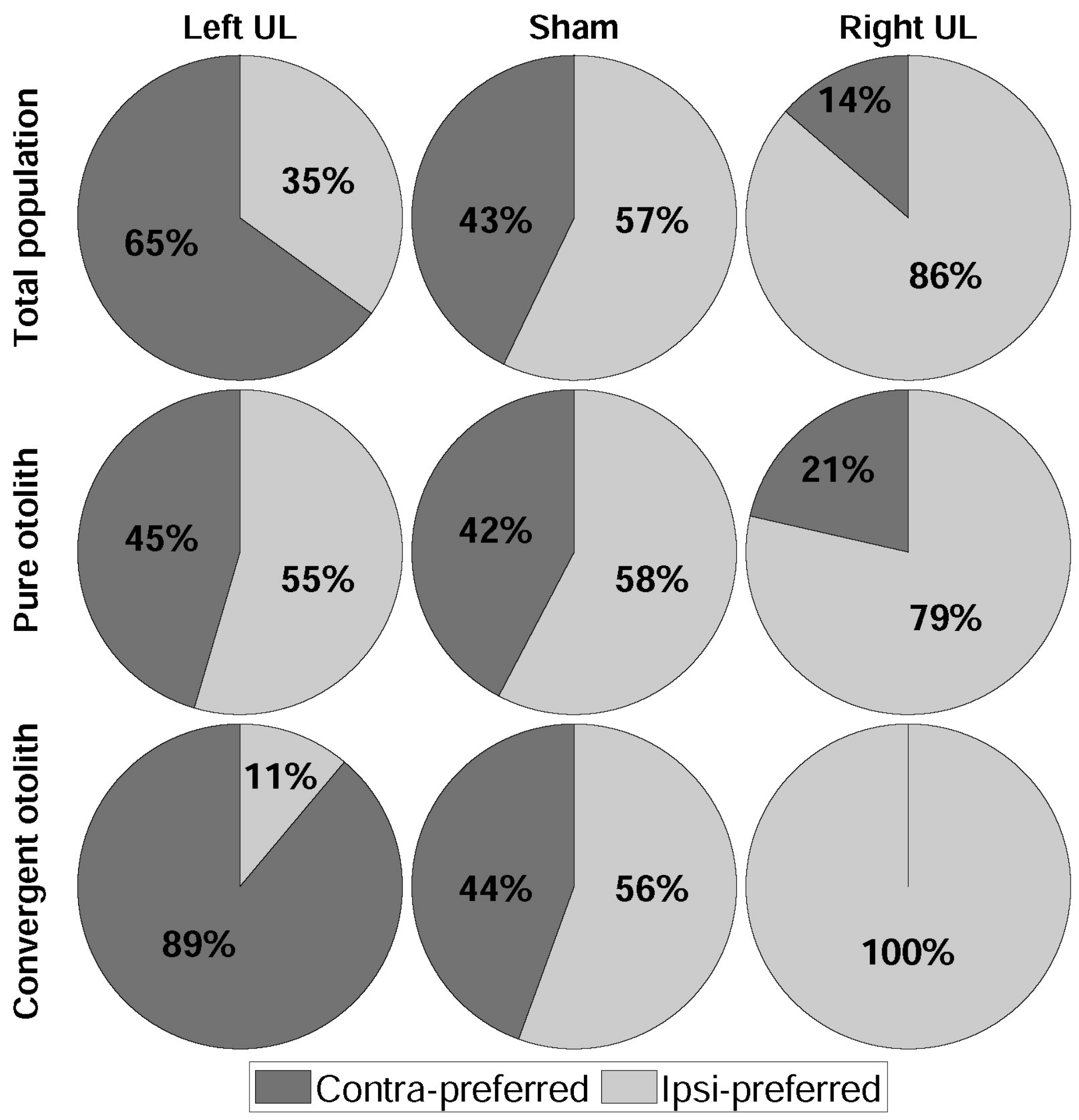 Brainsci 11 00987 g004 Brainsci 11 00987 g004