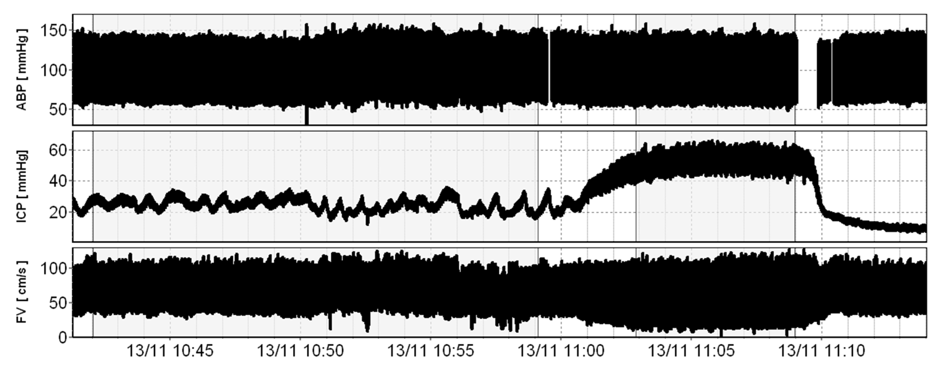 Brainsci 11 01000 g001 550