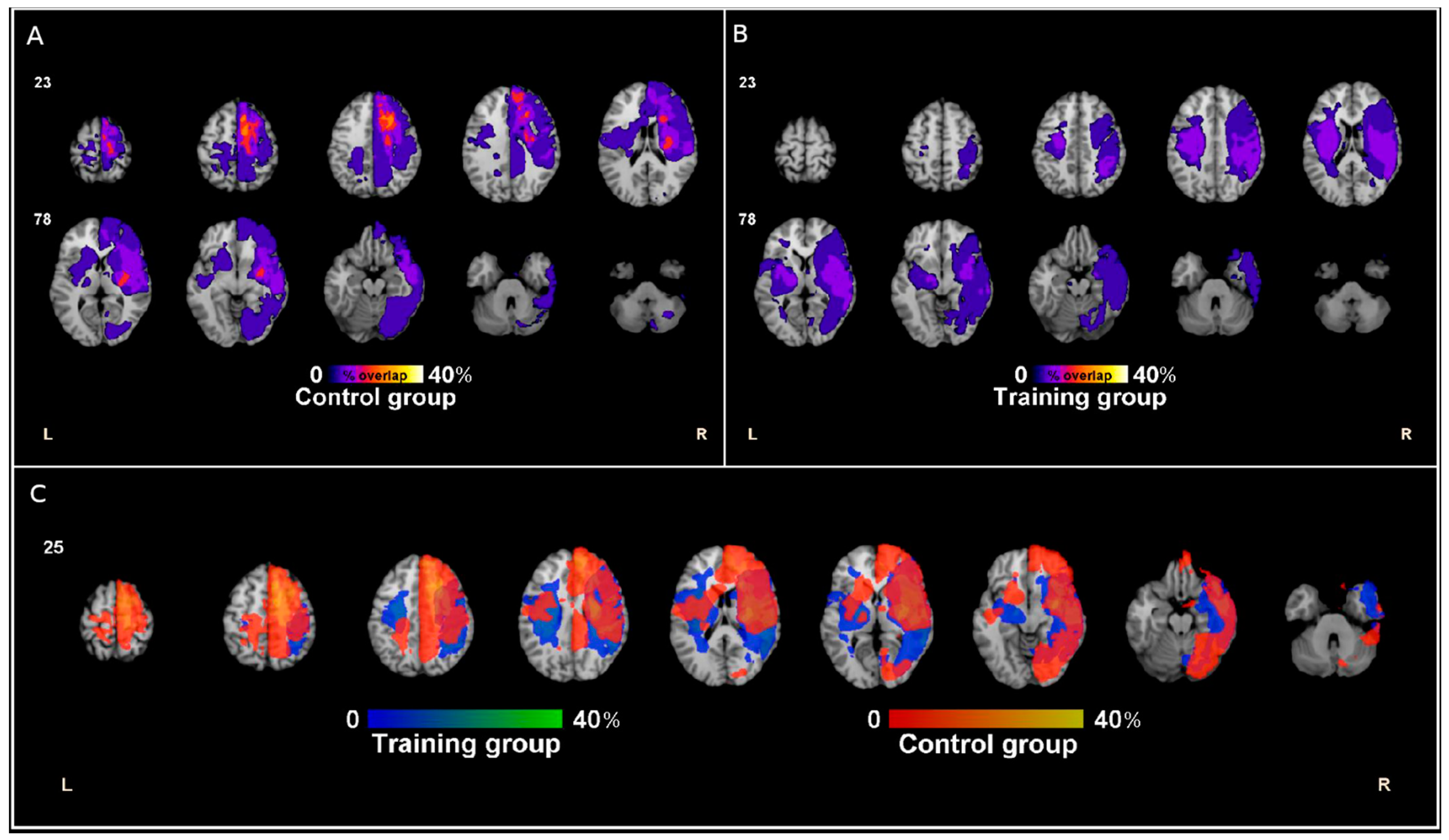 Brainsci 11 01002 g001 550