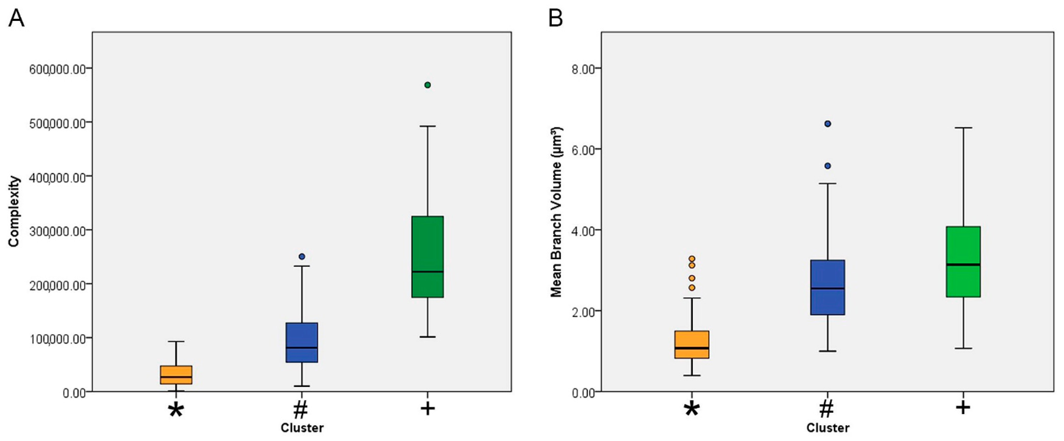 Brainsci 11 01009 g004