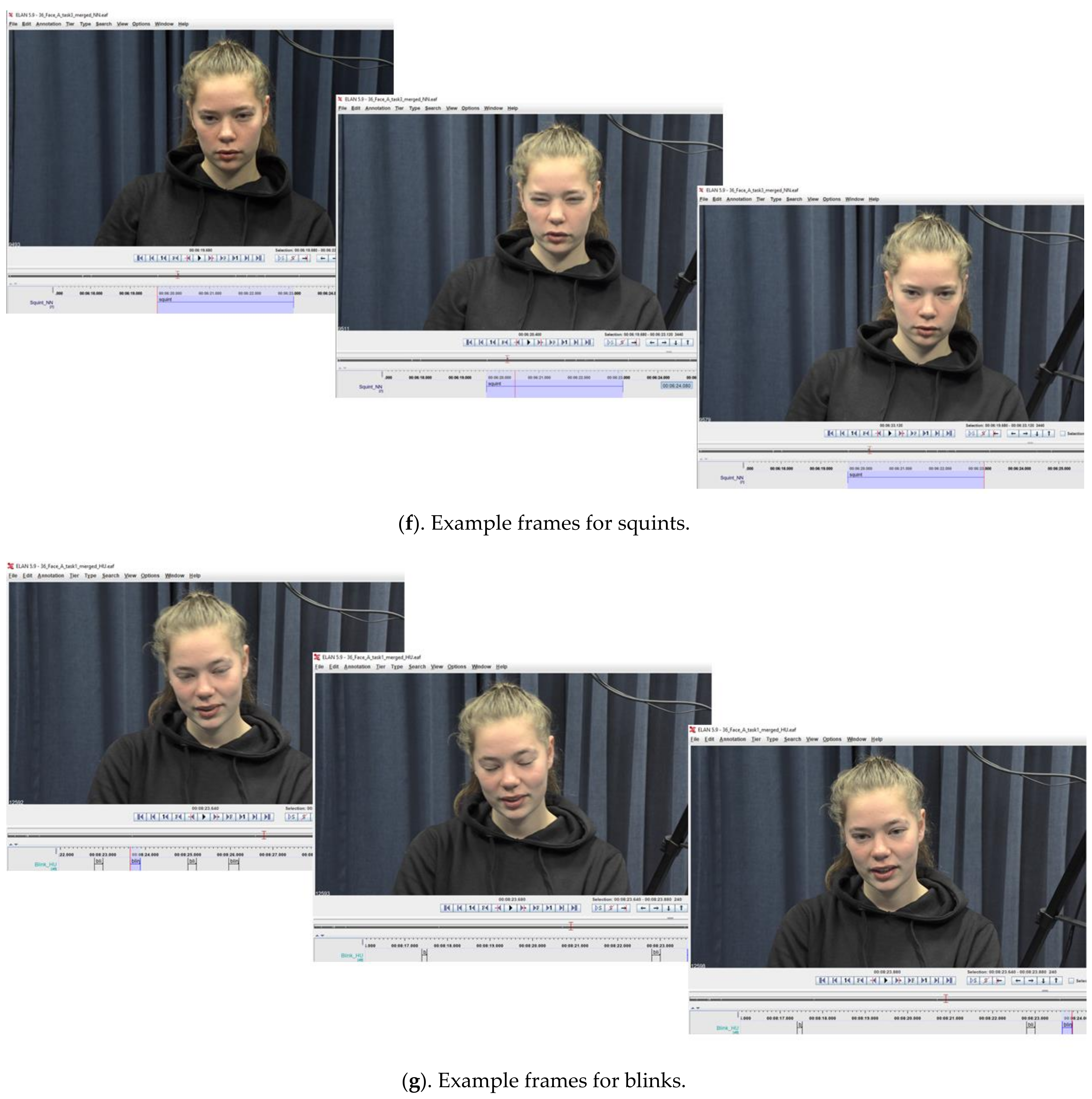 Brainsci 11 01017 g0a2d Brainsci 11 01017 g0a2d