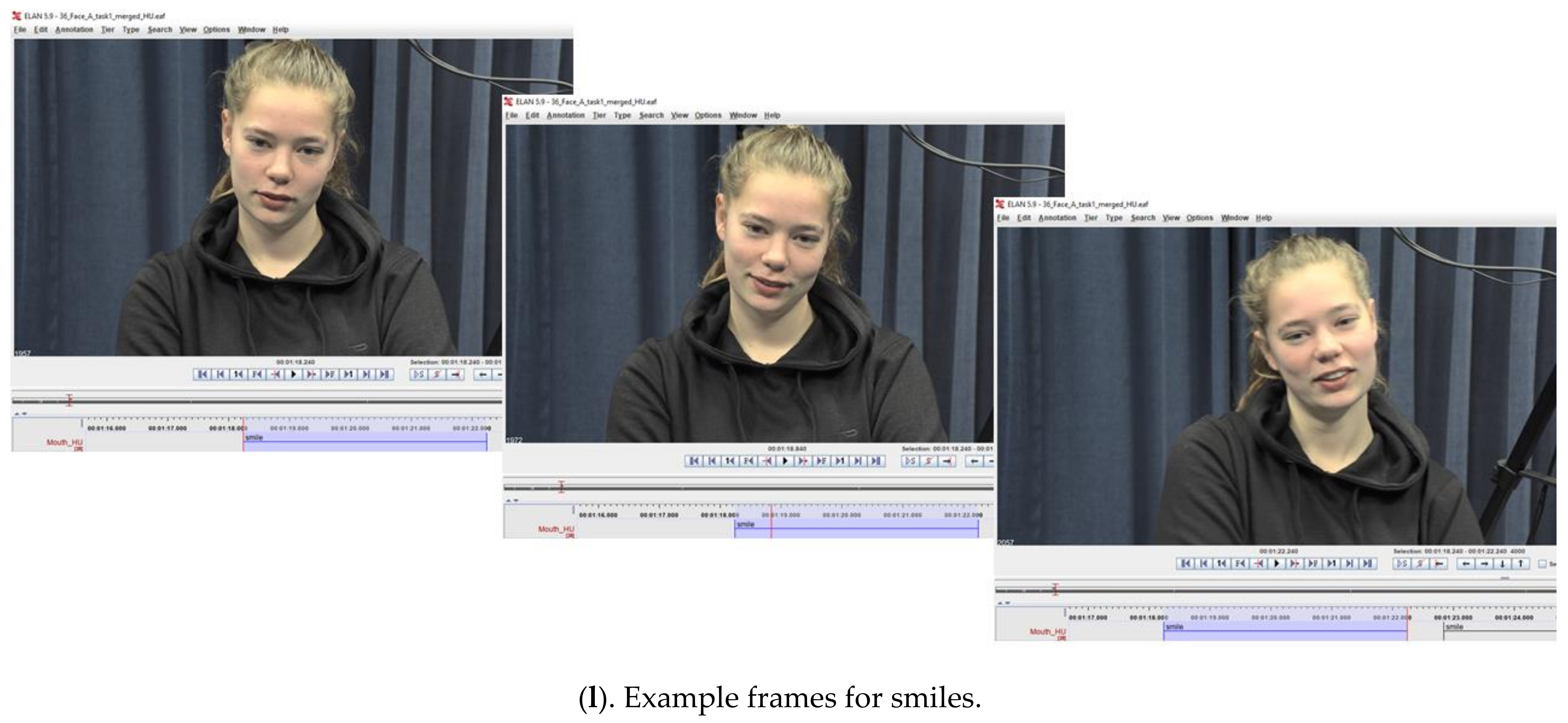 Brainsci 11 01017 g0a2g Brainsci 11 01017 g0a2g