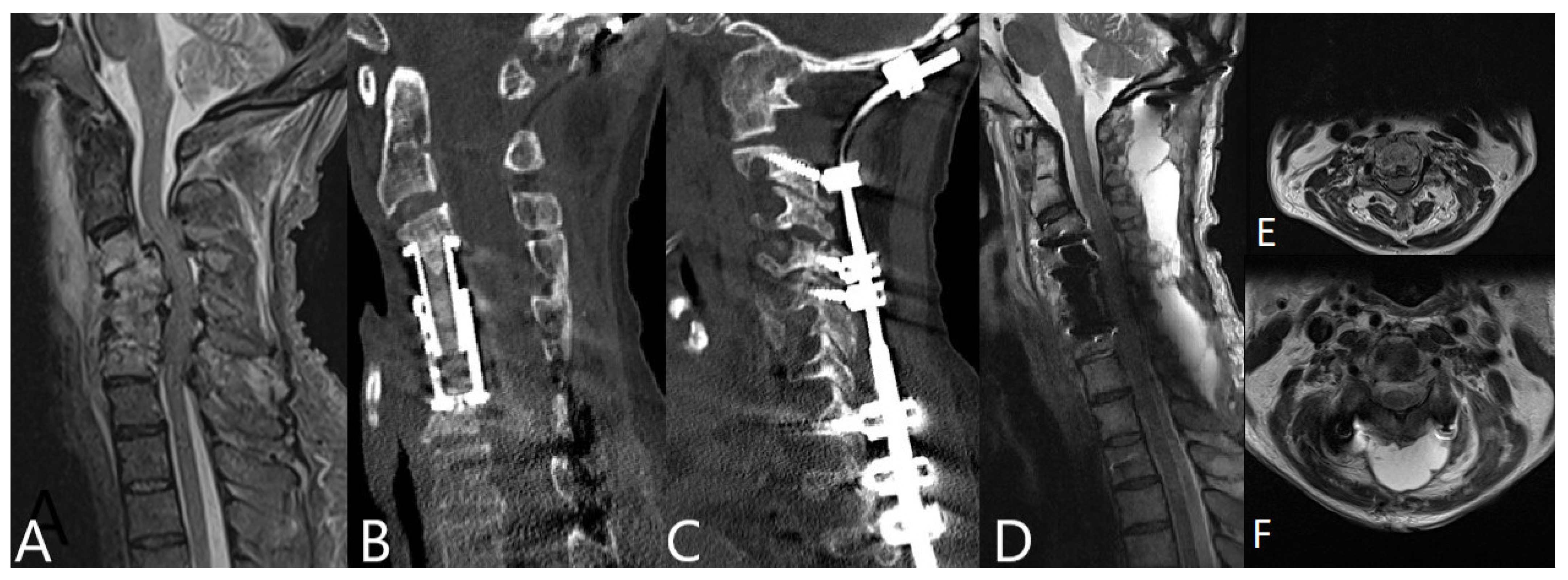 Brainsci 11 01019 g001 550