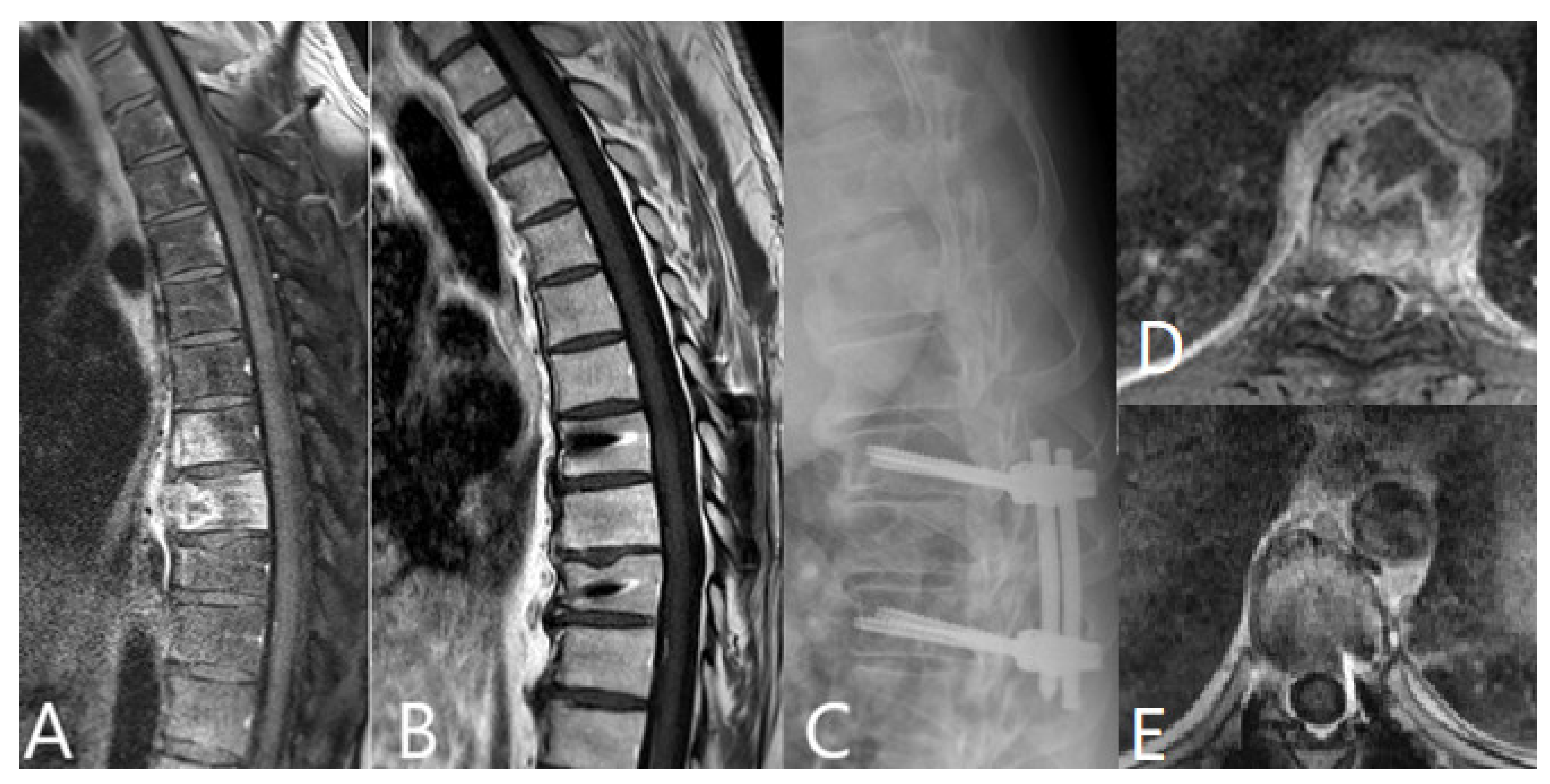Brainsci 11 01019 g002 550