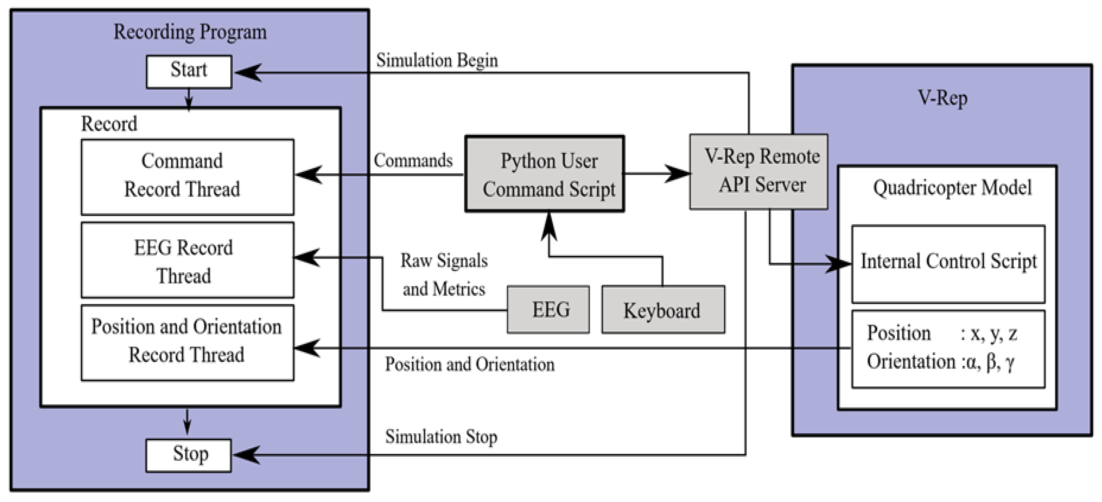 Brainsci 11 01024 g004