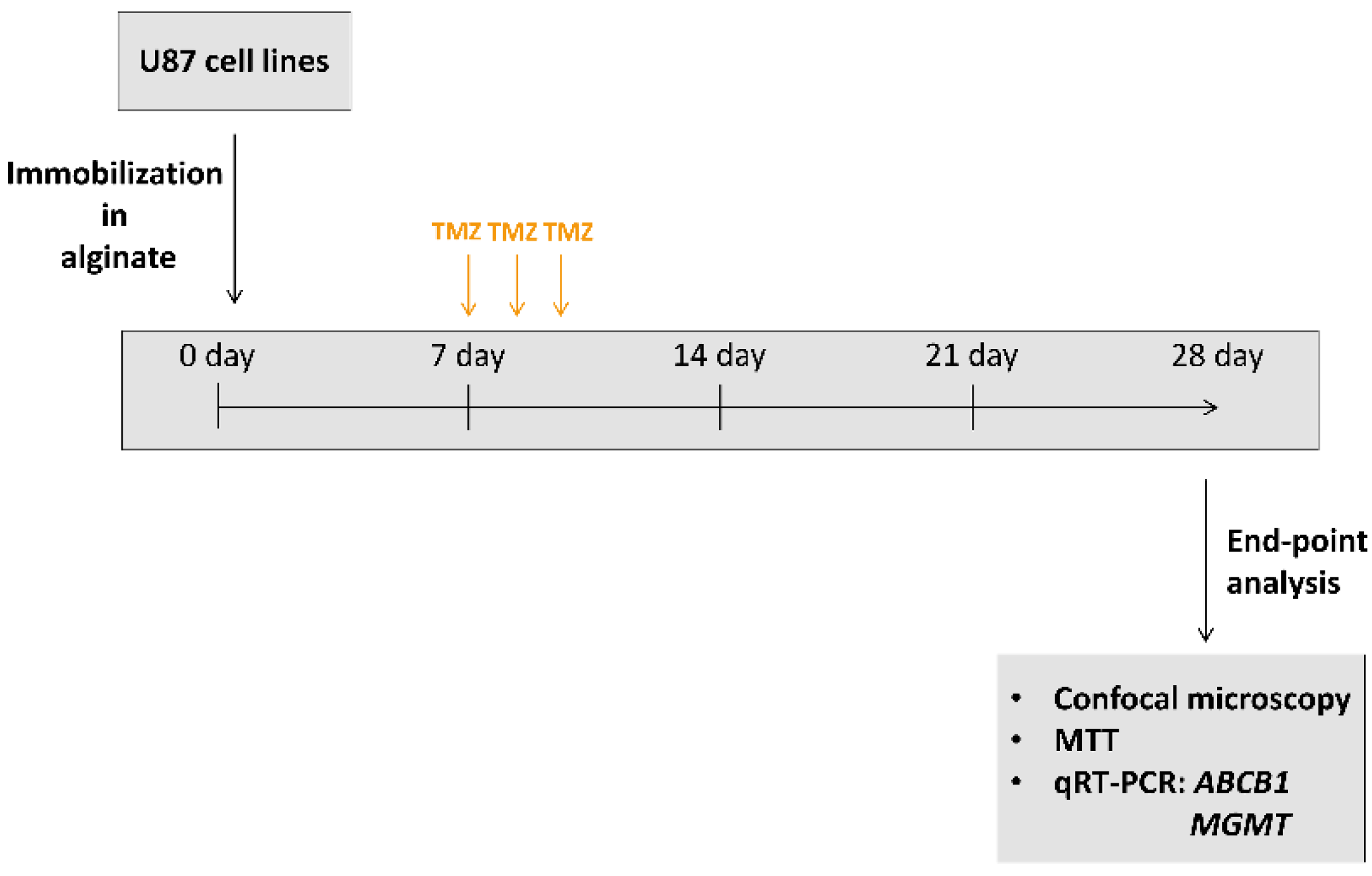 Brainsci 11 01025 g001