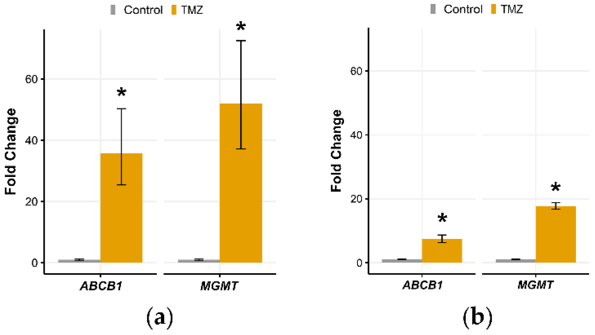 Brainsci 11 01025 g005
