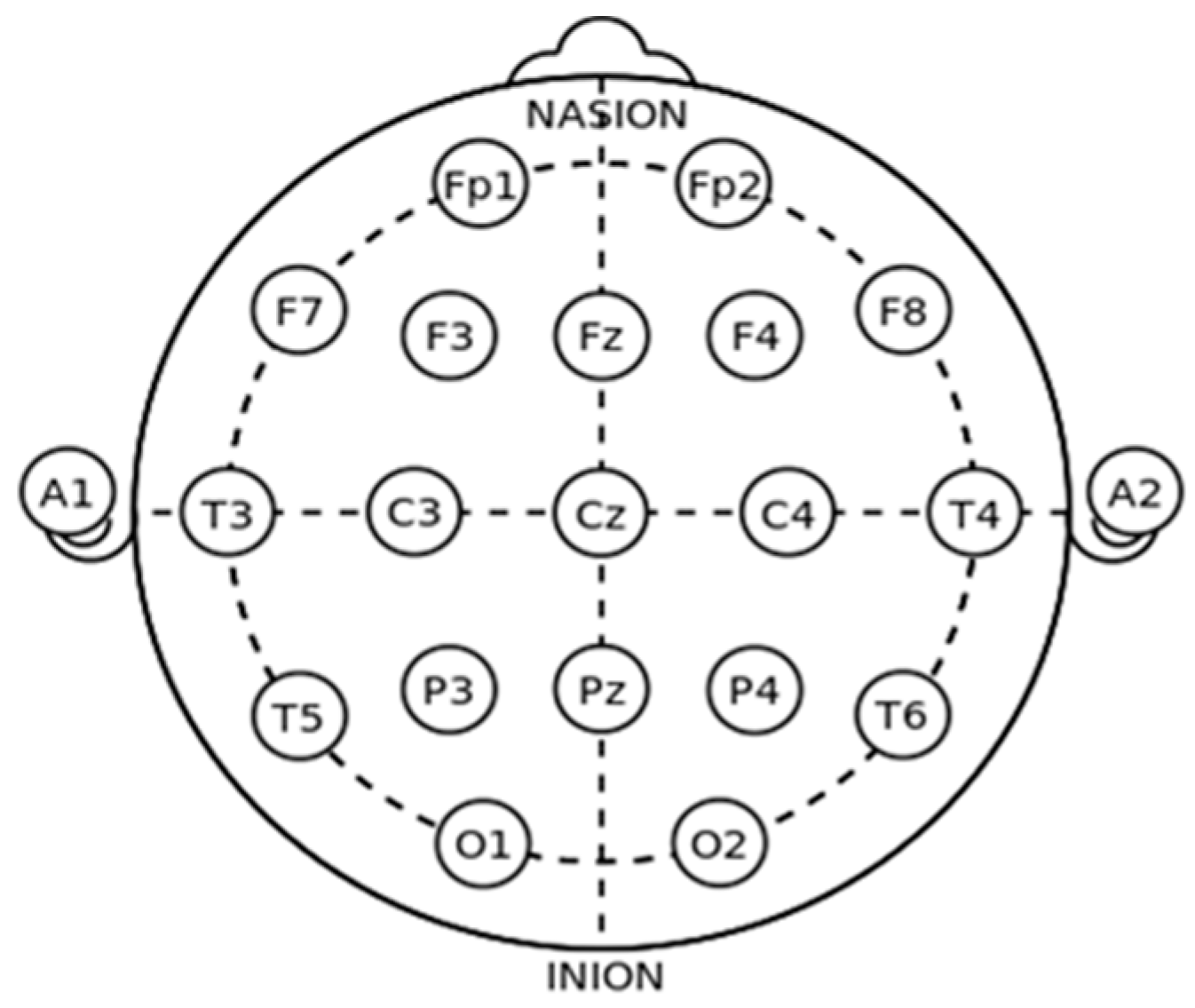 Brainsci 11 01026 g001