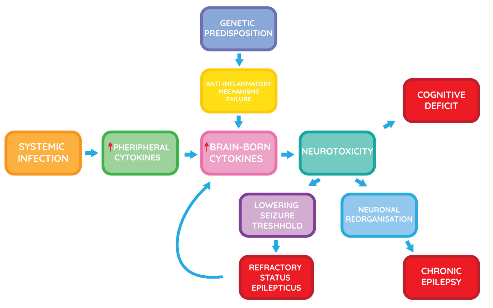 Brainsci 11 01030 g001