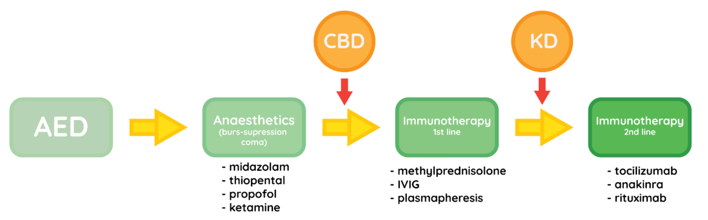 Brainsci 11 01030 g002