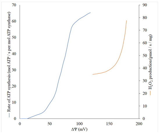 Brainsci 11 01050 g001 550