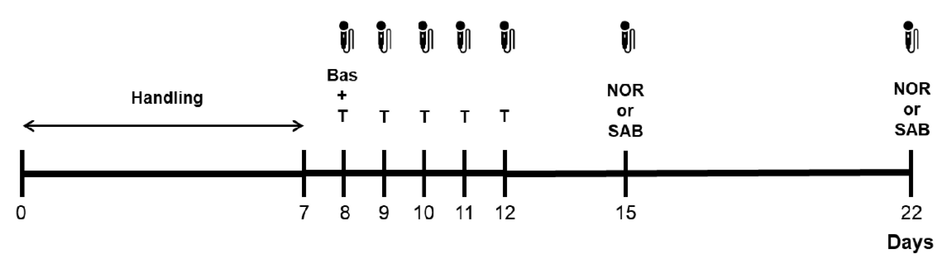 Brainsci 11 01053 g001 550