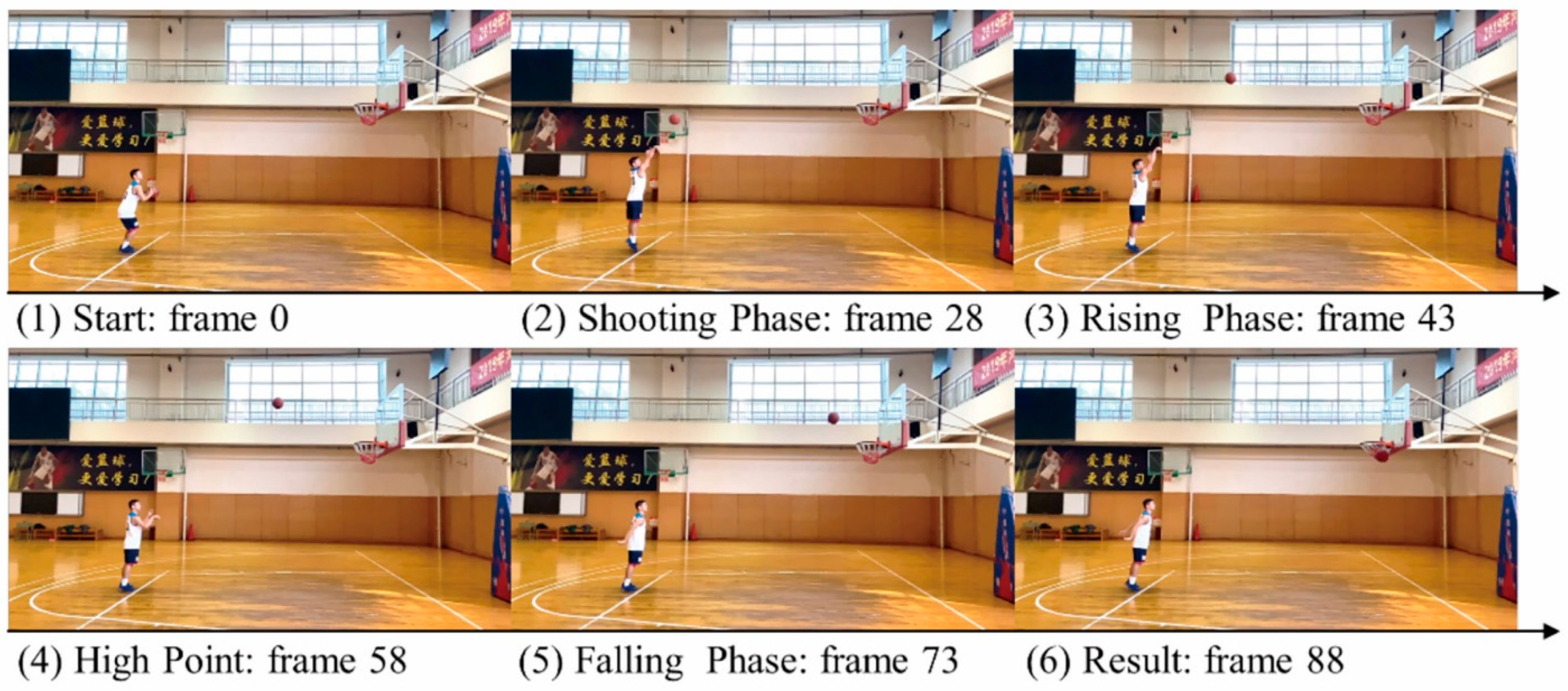 Brainsci 11 01058 g001 550