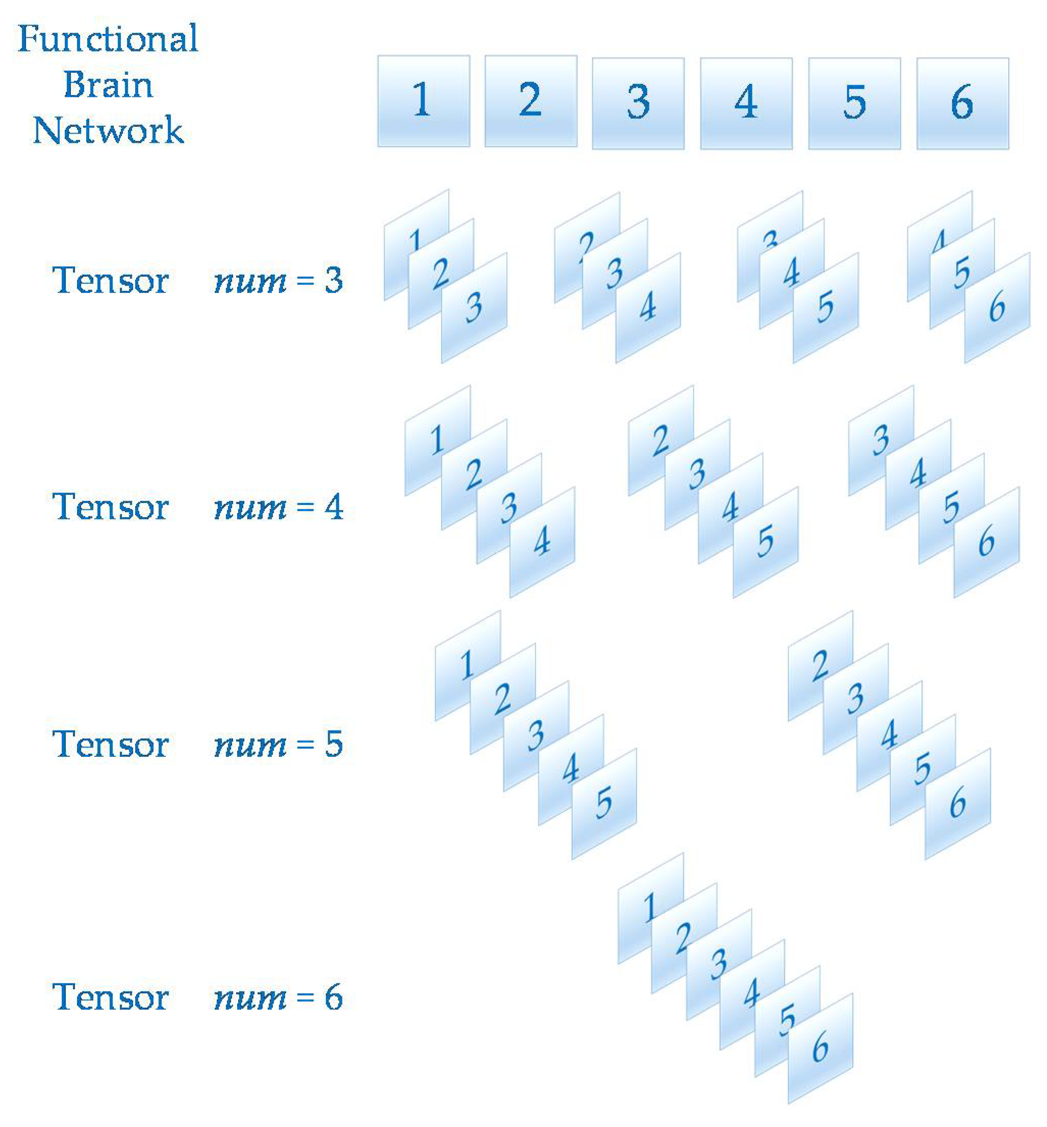 Brainsci 11 01066 g003
