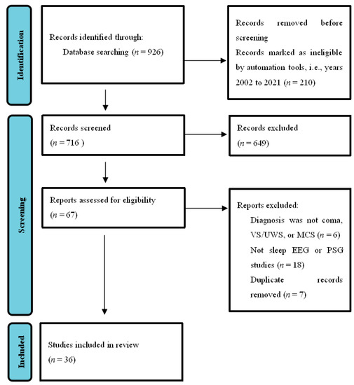 Brainsci 11 01072 g001 550