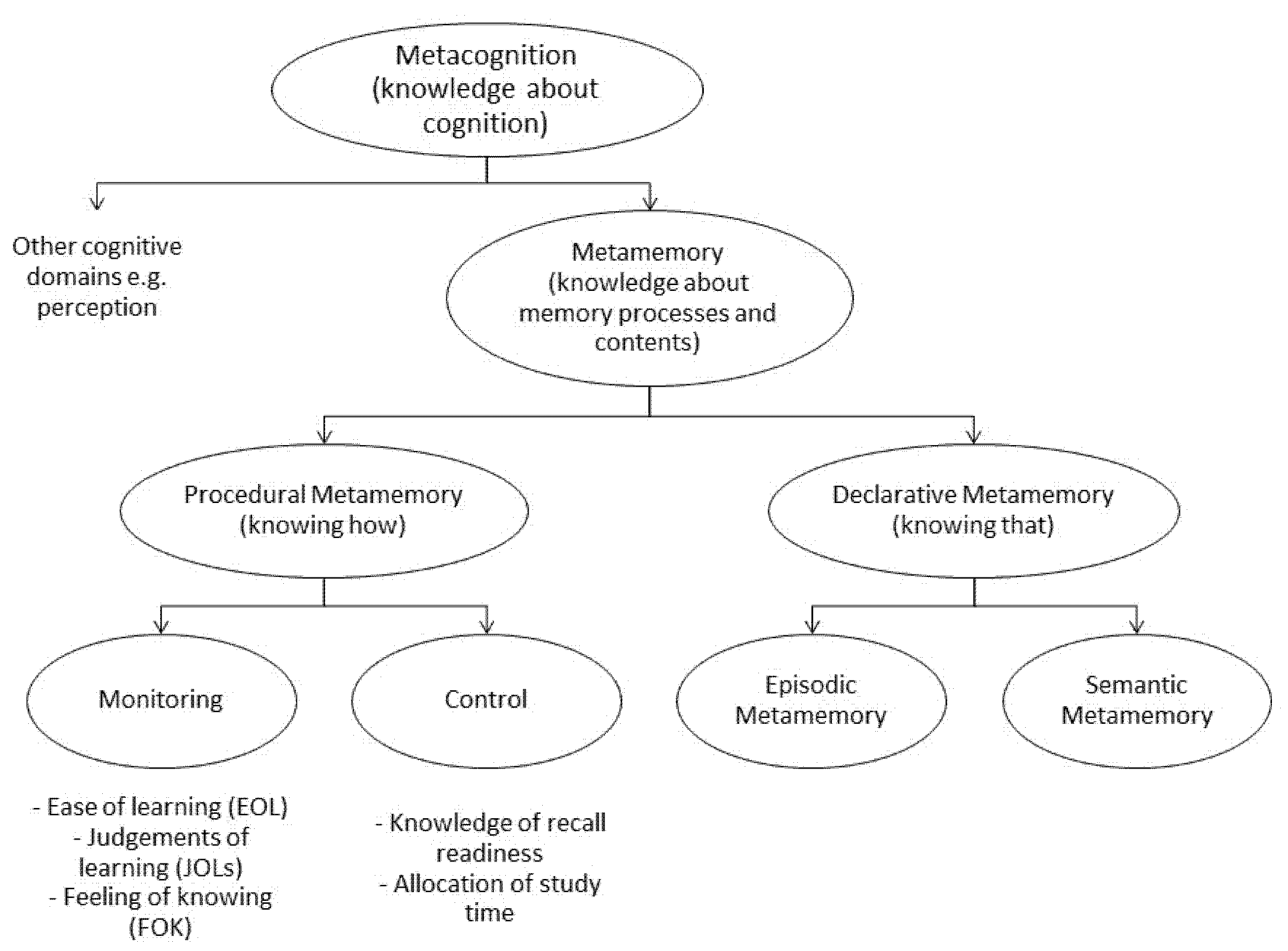 Brain Sciences | Free Full-Text | Functional Cognitive Disorders (FCD): How Is Metacognition Involved? | HTML