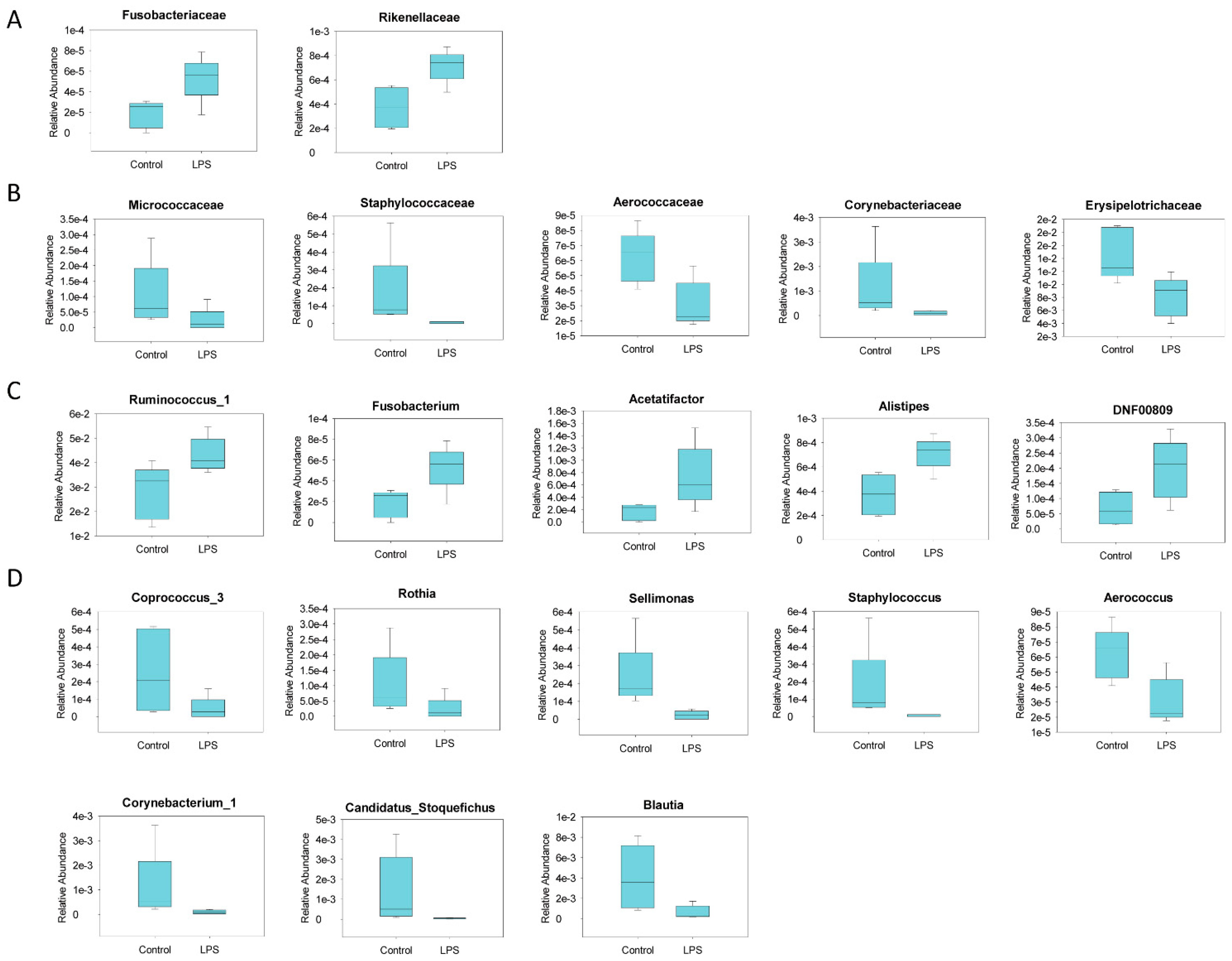 Brainsci 11 01085 g004