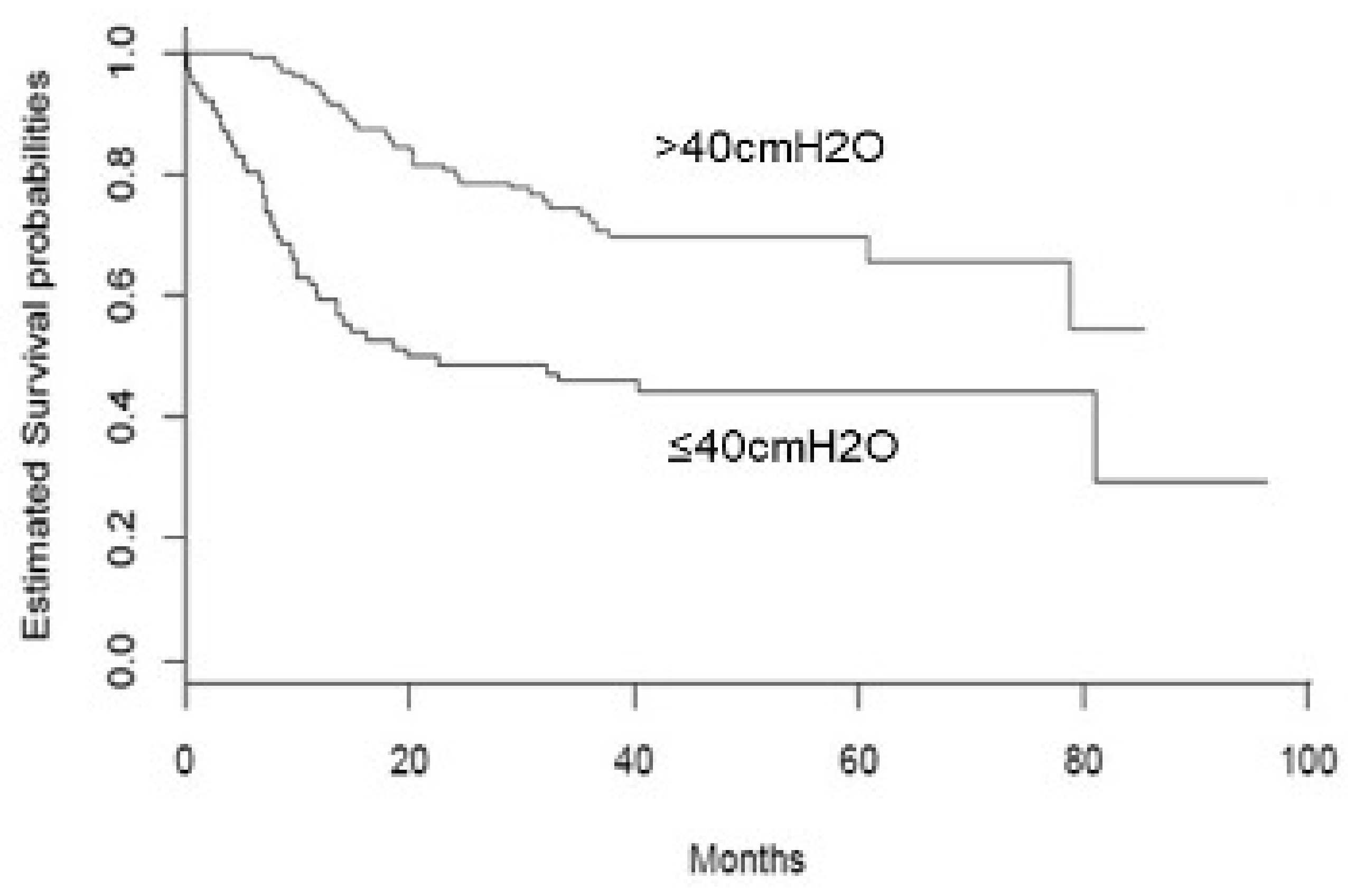 Brainsci 11 01091 g001 550