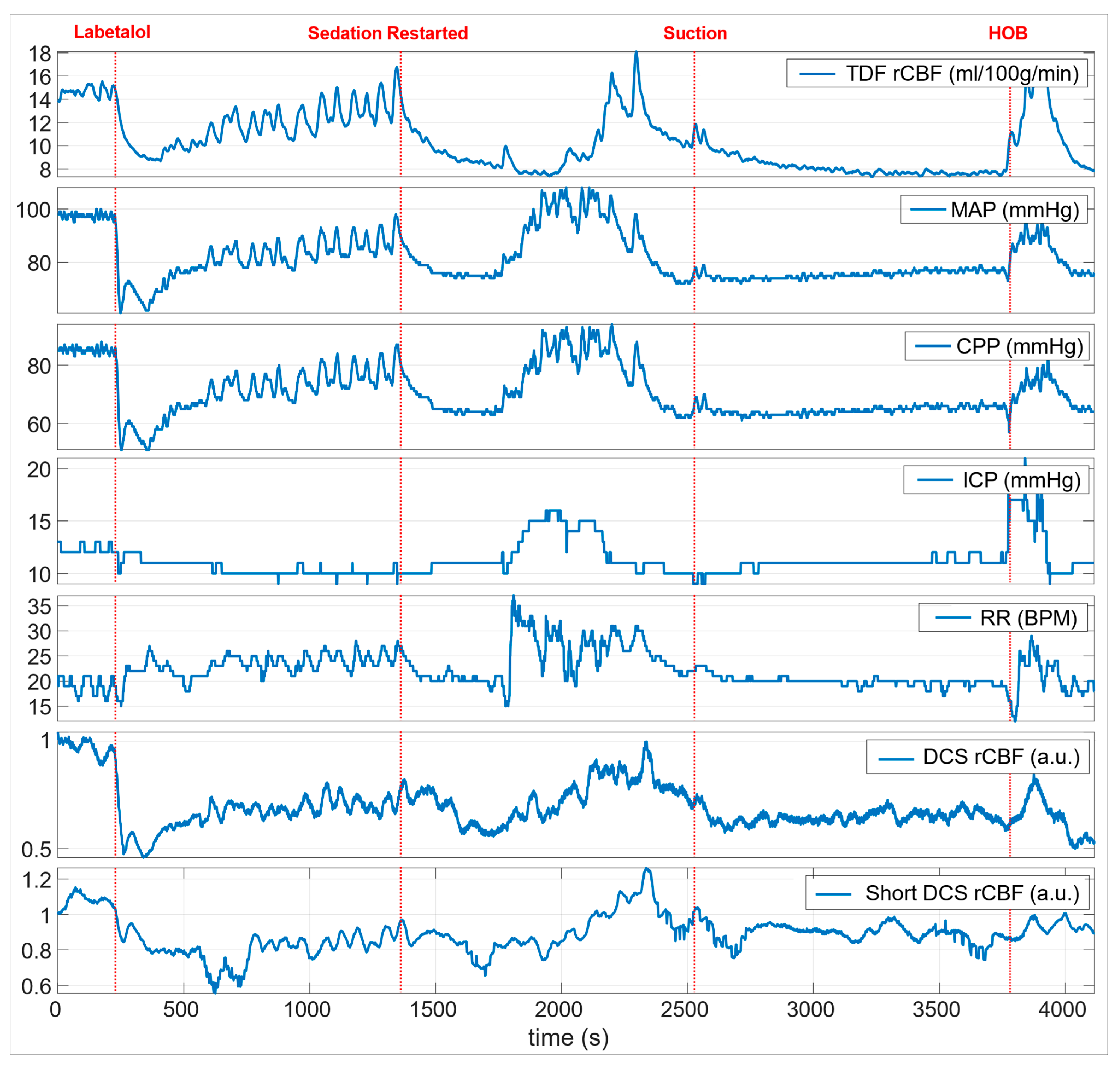 Brainsci 11 01093 g002