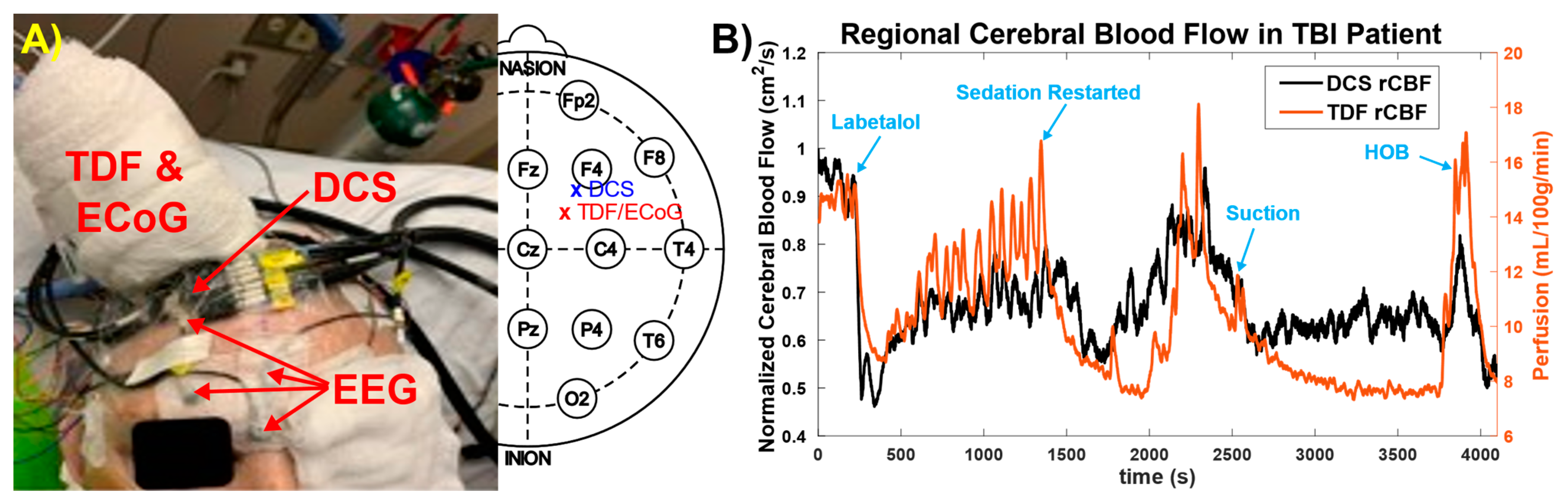 Brainsci 11 01093 g003