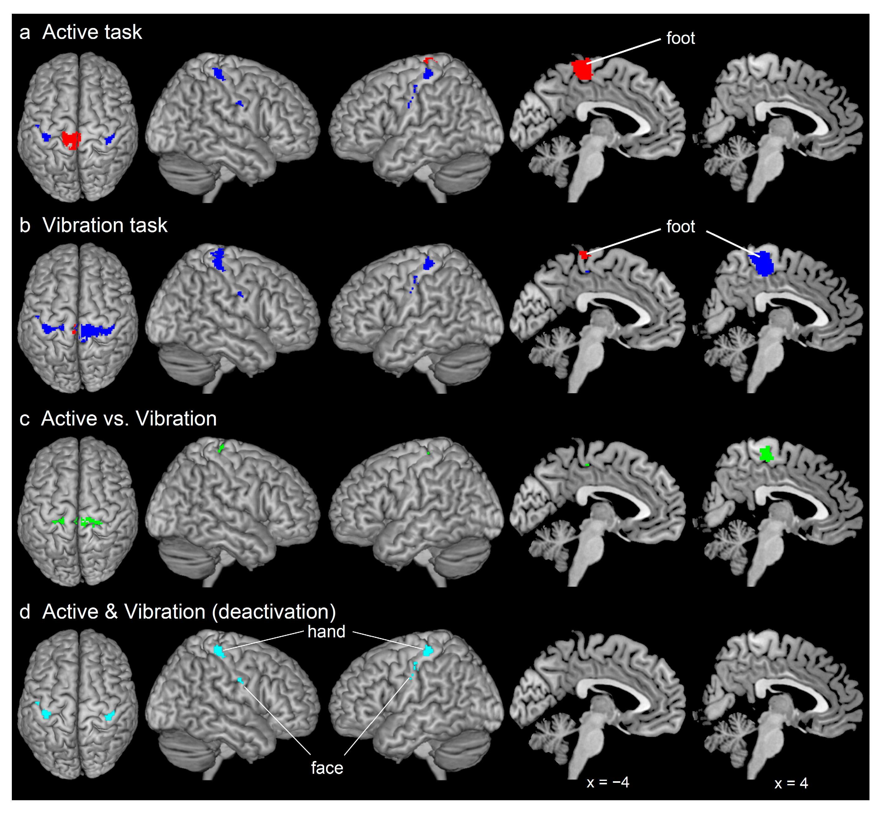 Brainsci 11 01099 g002 Brainsci 11 01099 g002