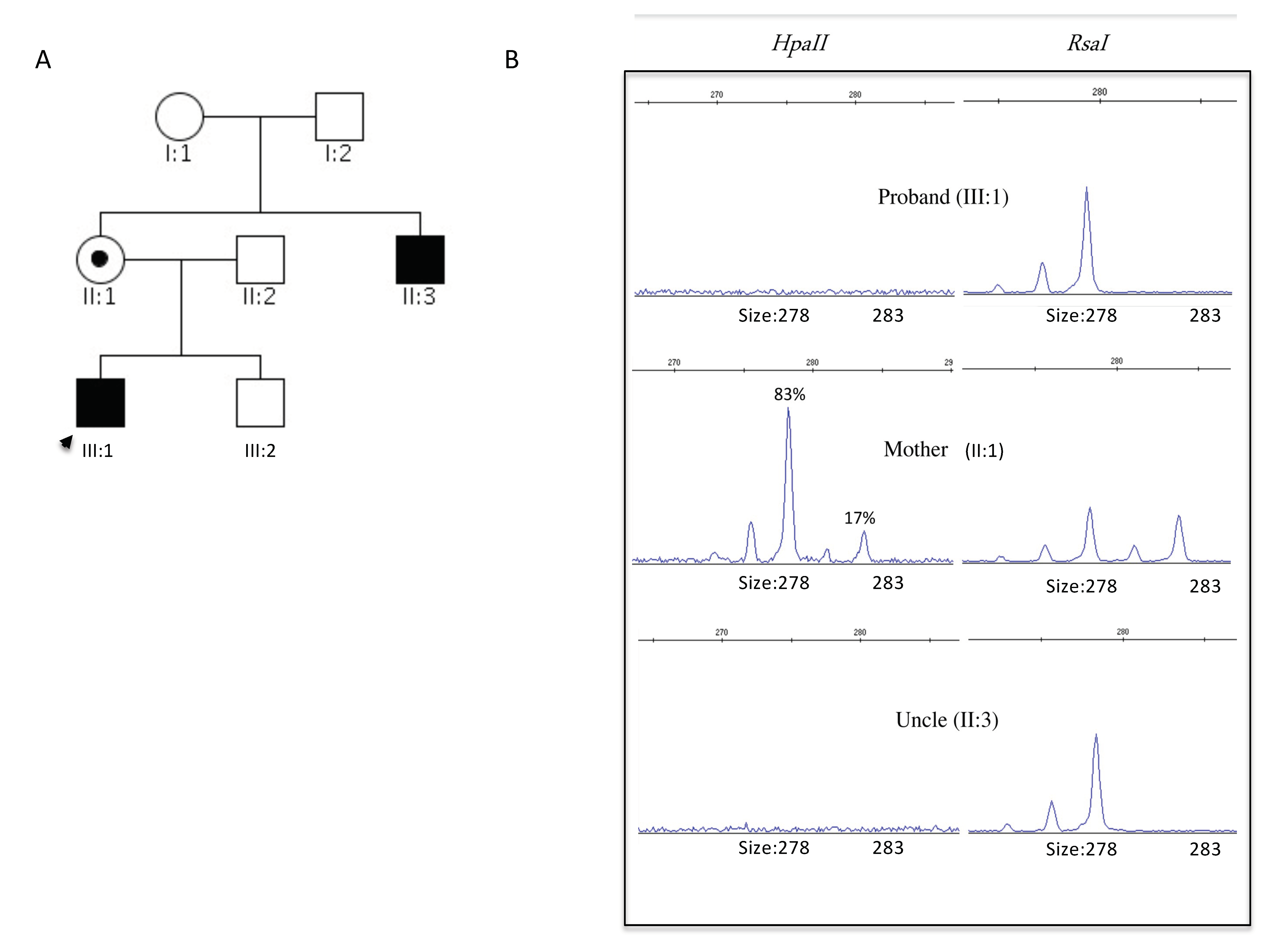 Brainsci 11 01105 g001