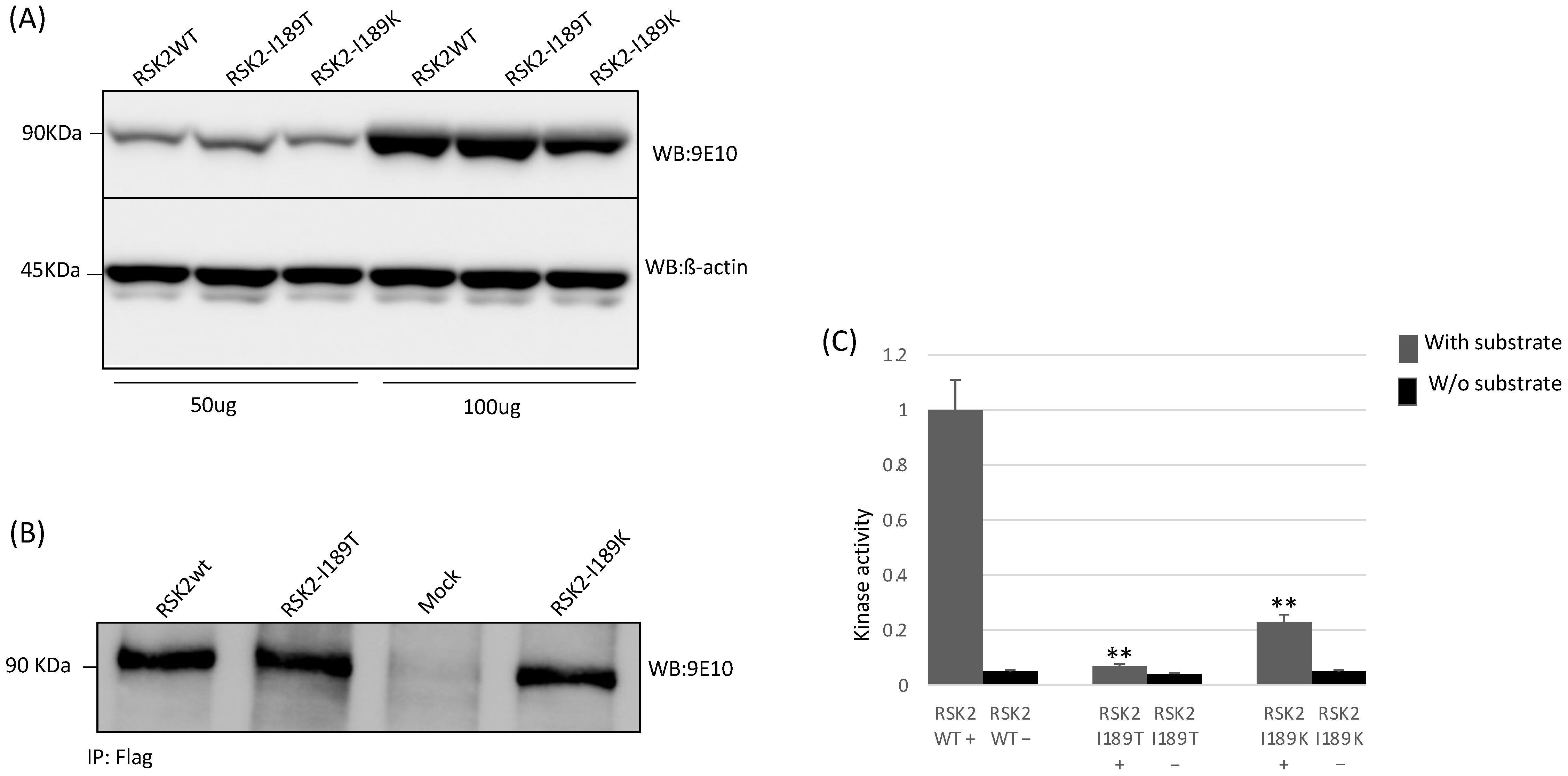 Brainsci 11 01105 g003