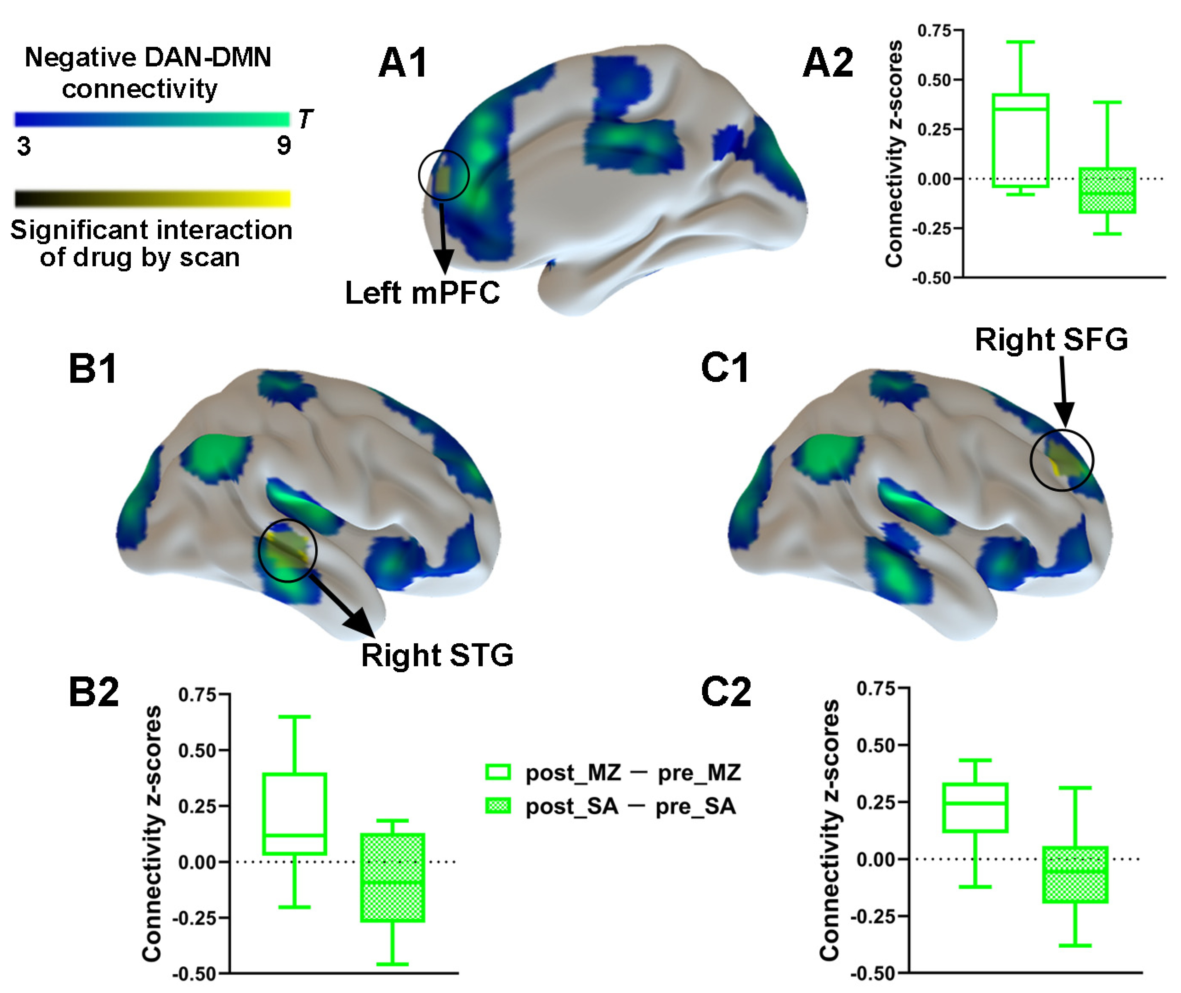 Brainsci 11 01107 g005 Brainsci 11 01107 g005