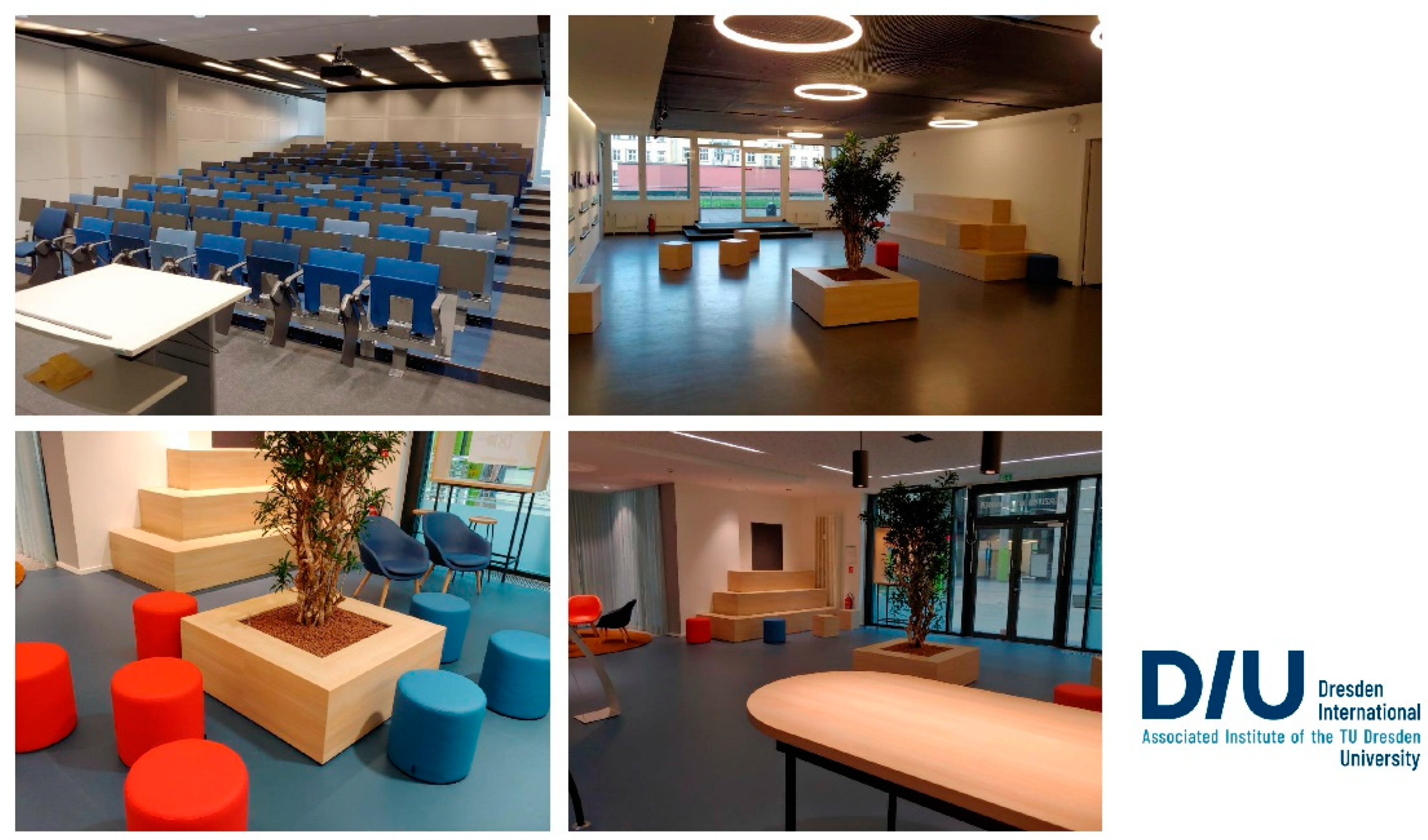 Brainsci 11 01110 g002 550