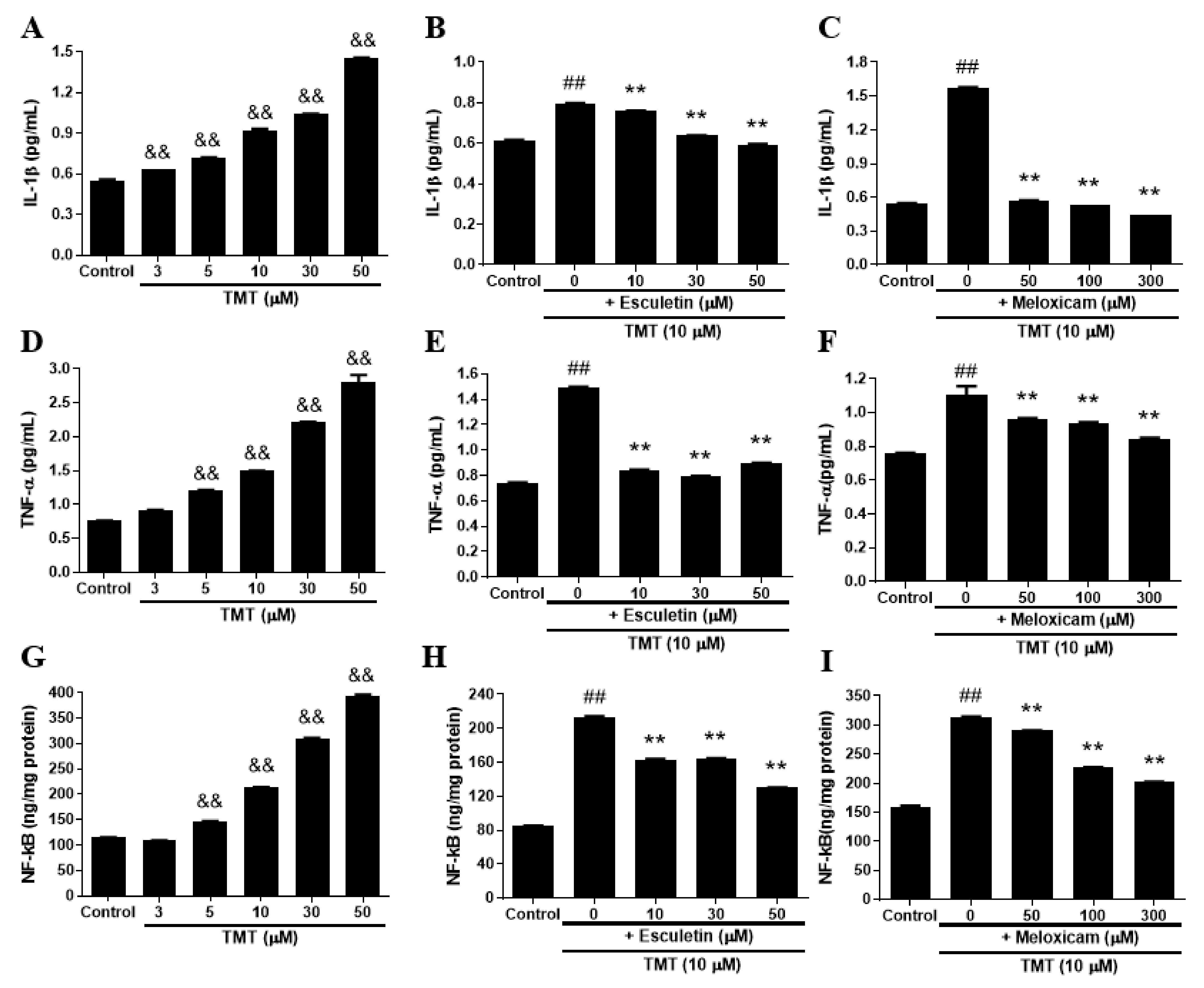Brainsci 11 01116 g007 Brainsci 11 01116 g007
